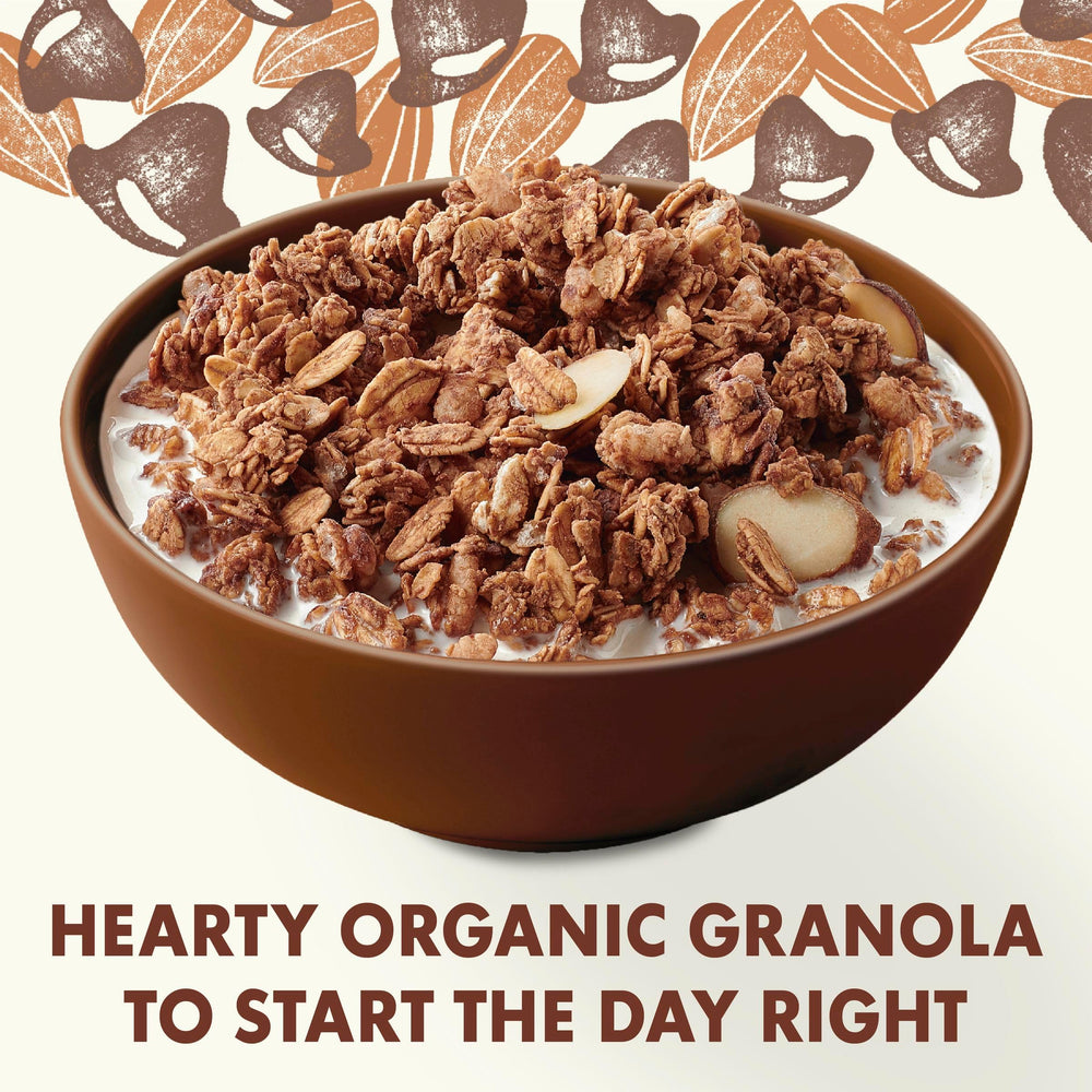 Close-up of oats, almonds, and dark chips from Cascadian Farm granola