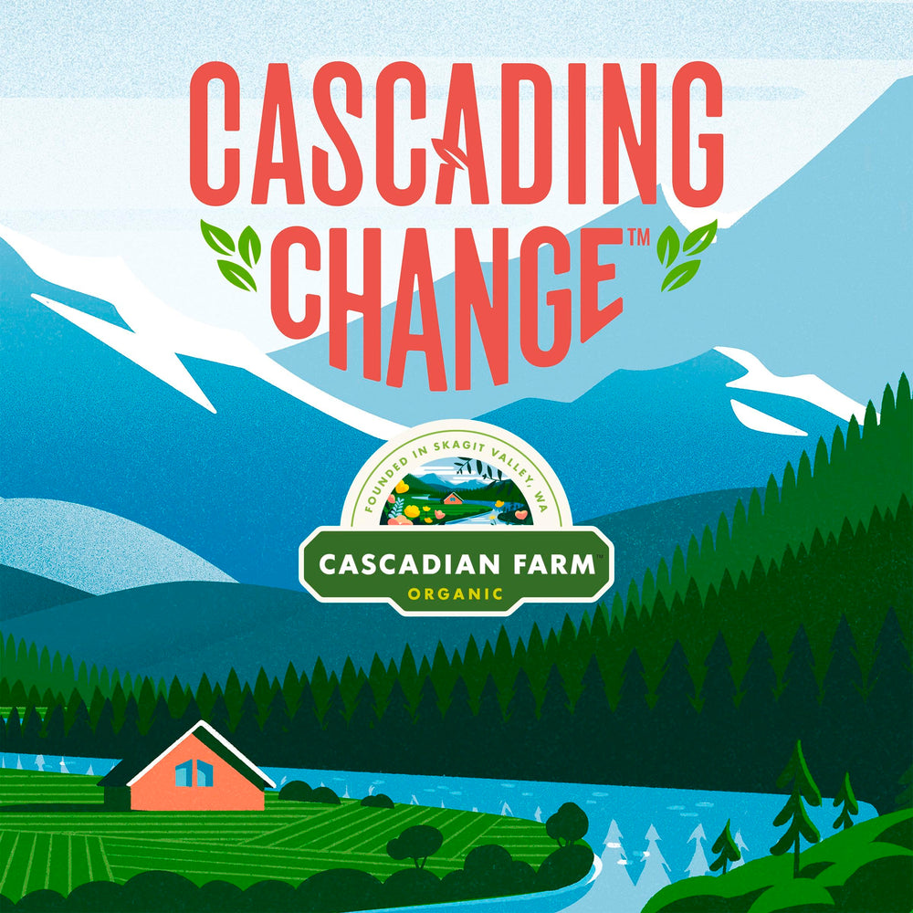 Cascadian Farm Multi Grain Squares cereal no artificial flavors—clean taste, real ingredients.