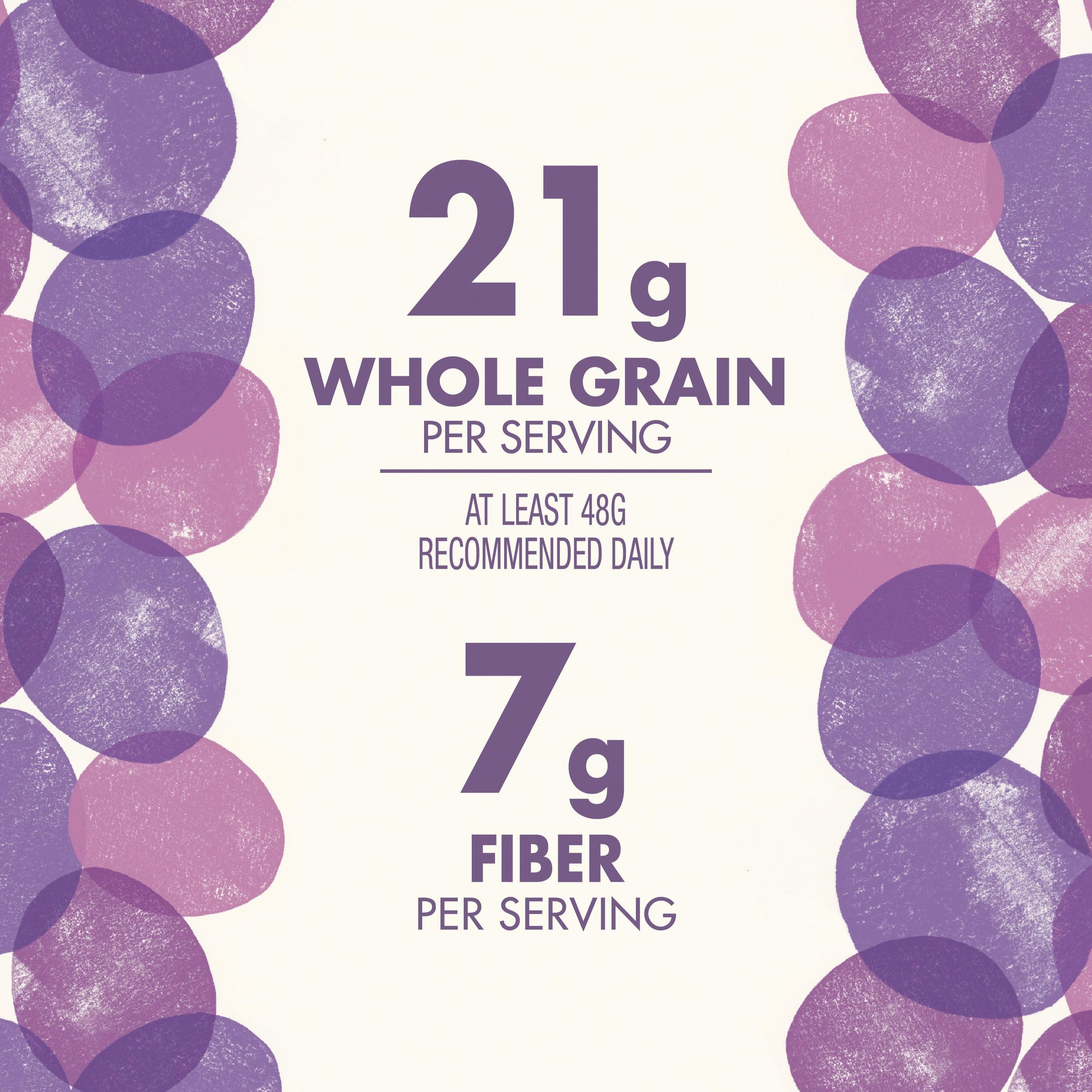 Cascadian Farm Organic Raisin Bran snack portion image for on-the-go nibbling