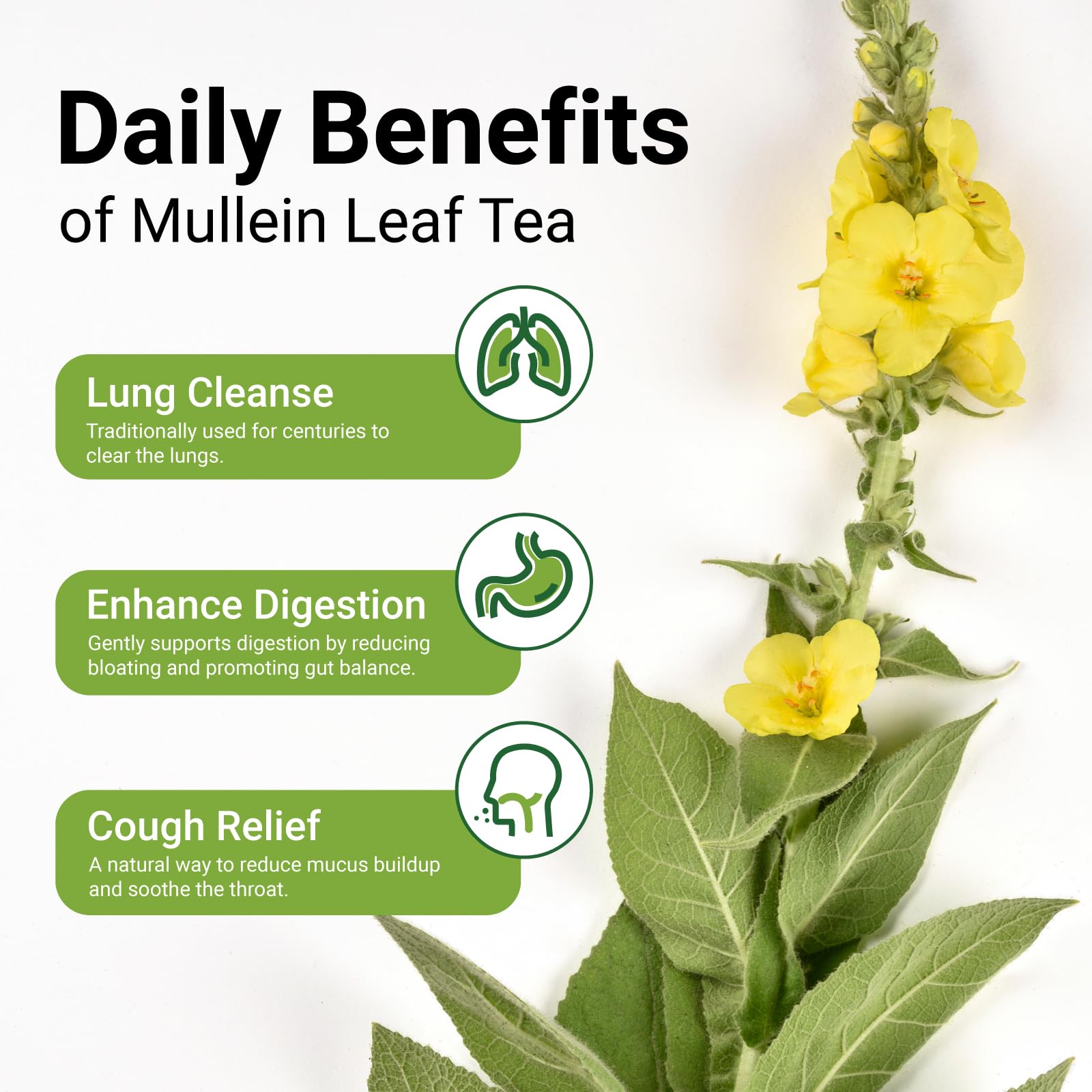 CCnature Mullein Leaf Tea Bags closeup showing pure leaves for additive-free flavor
