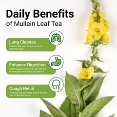 CCnature Mullein Leaf Tea Bags closeup showing pure leaves for additive-free flavor