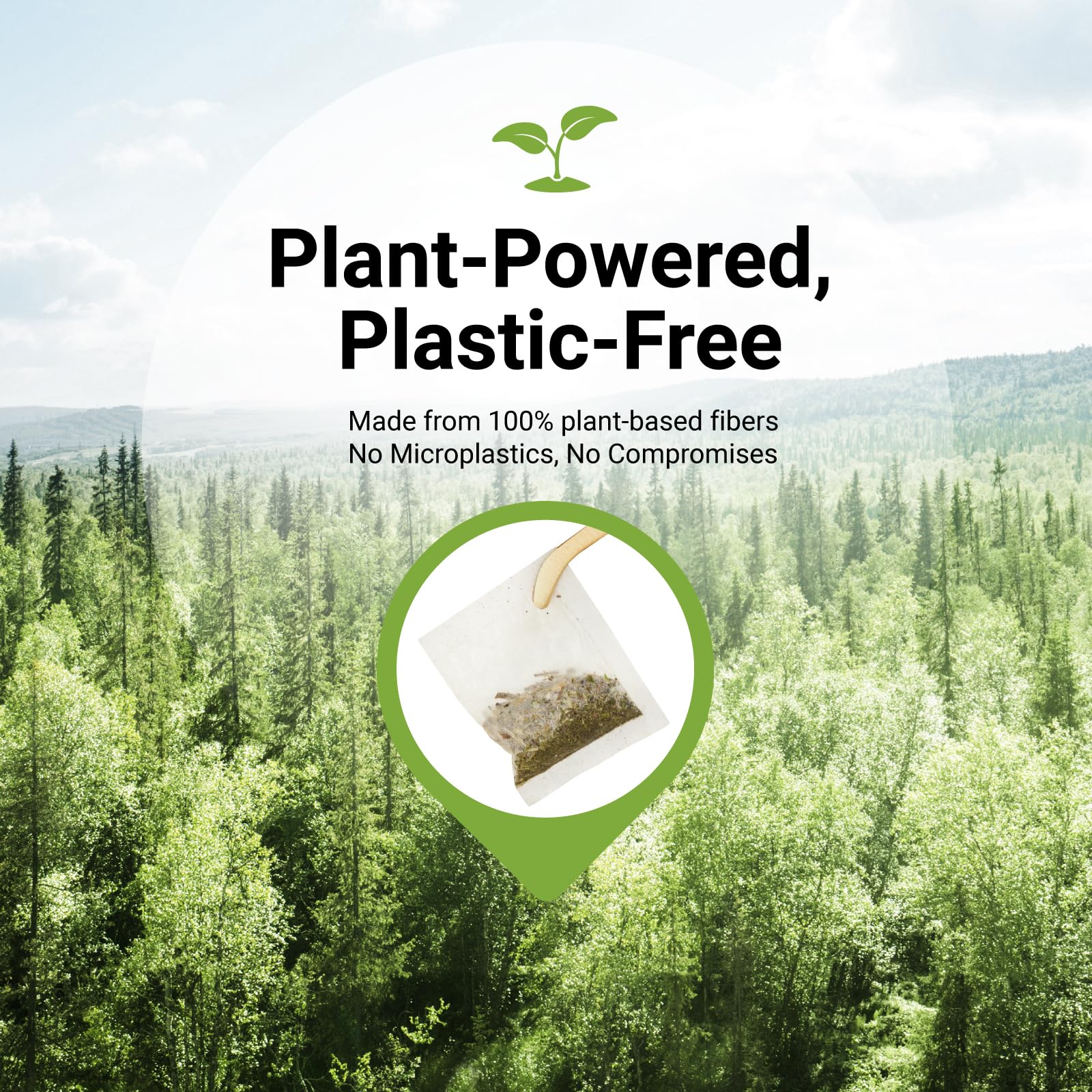 CCnature mullein tea bags steeping cup with earthy aroma.