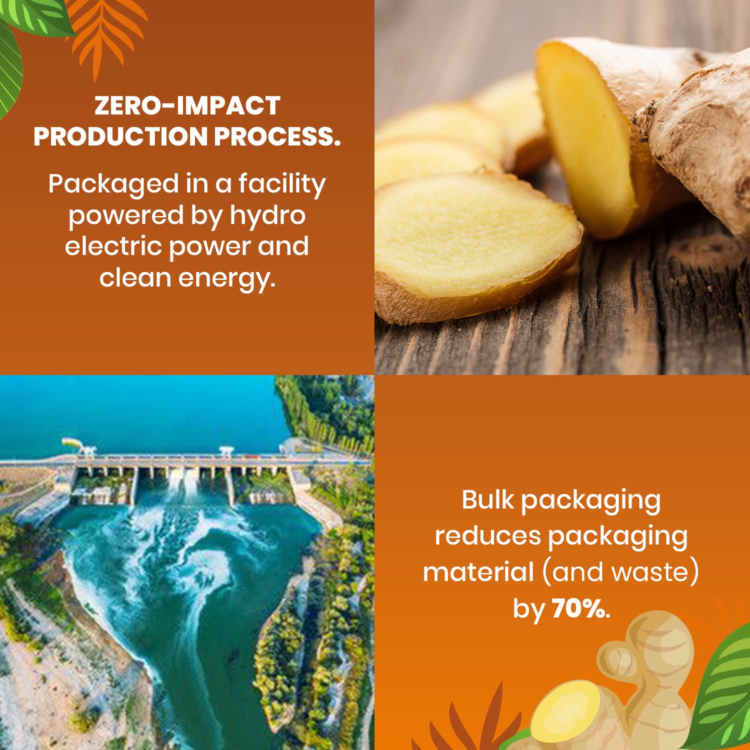 Cederberg compostable tea bags reduce waste while delivering vibrant aroma.