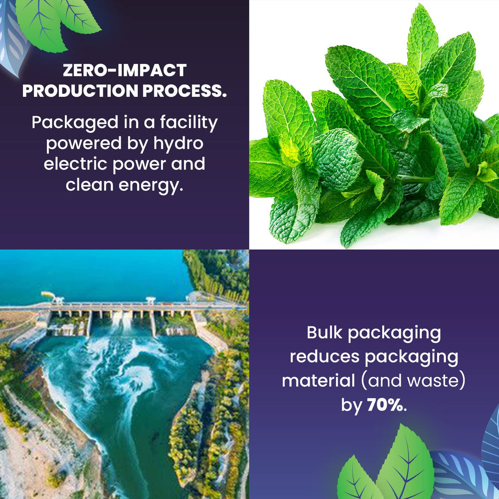 Cederberg farm with hydro-powered energy supporting sustainable tea production.