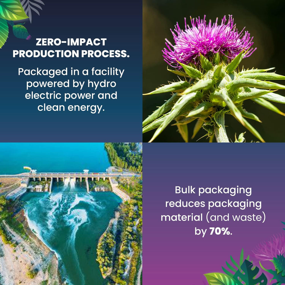 Cederberg eco-friendly tea bags reduce waste and support sustainability.