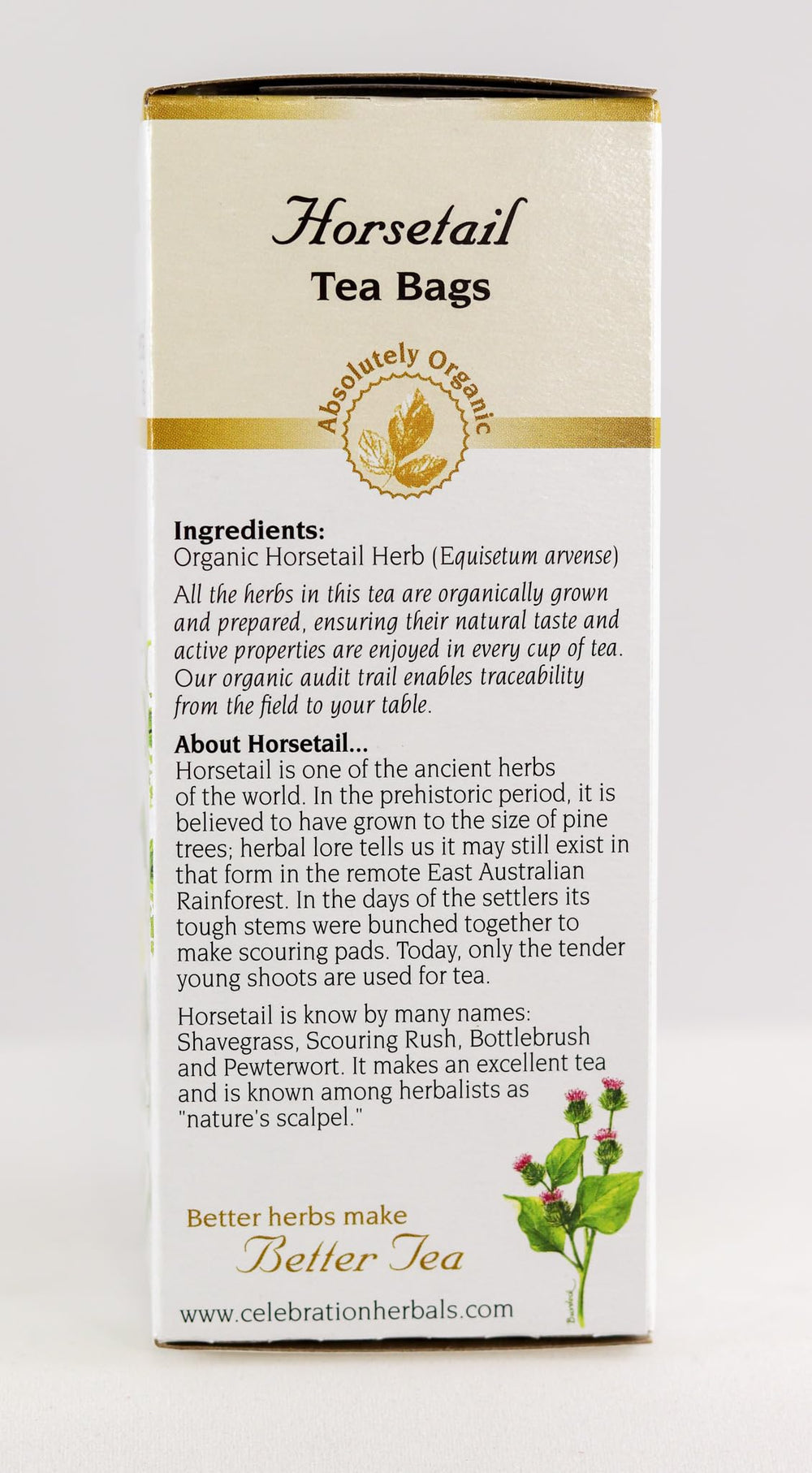 Celebration Herbals horsetail tea bag steeping for a warm cup