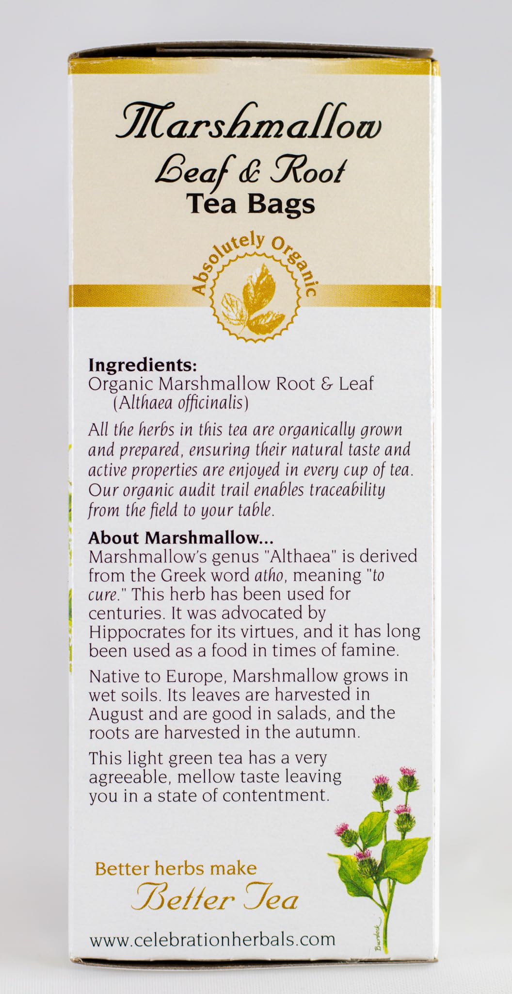 Celebration Herbals Marshmallow Root Tea aroma creating a cozy break