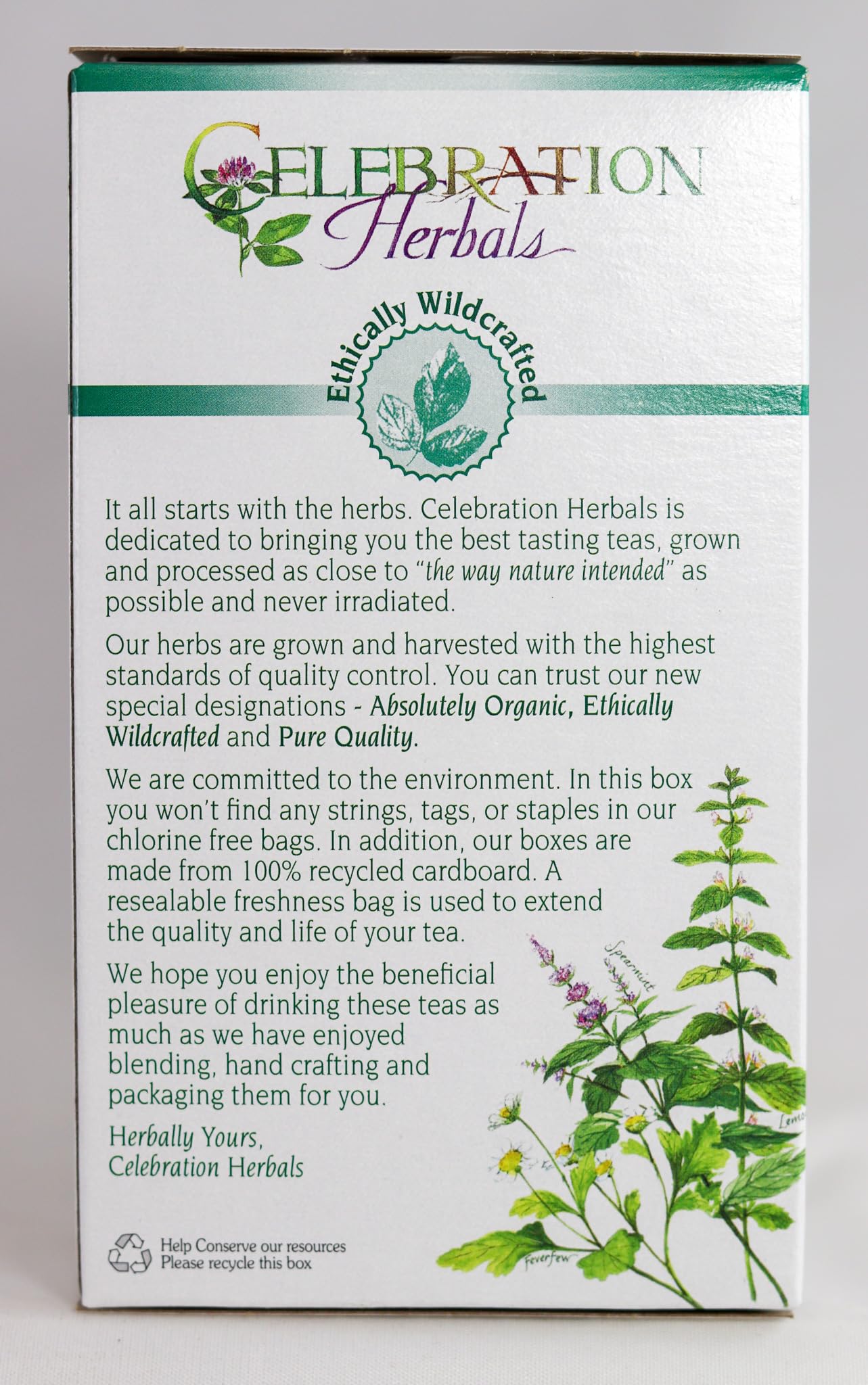 Brewing Pau D'Arco tea in a cup highlights natural flavor
