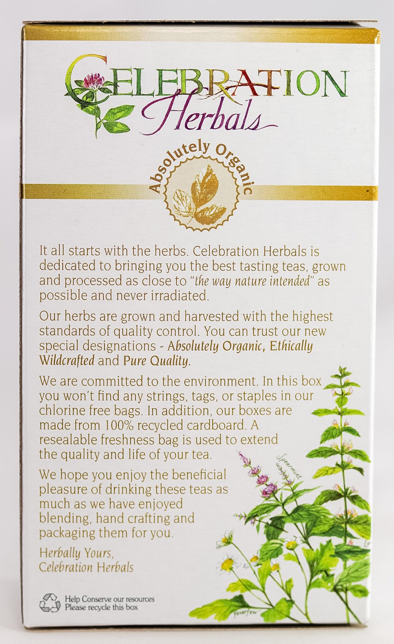 Relaxing tea break with Celebration Herbals Sarsaparilla Root tea and a book.
