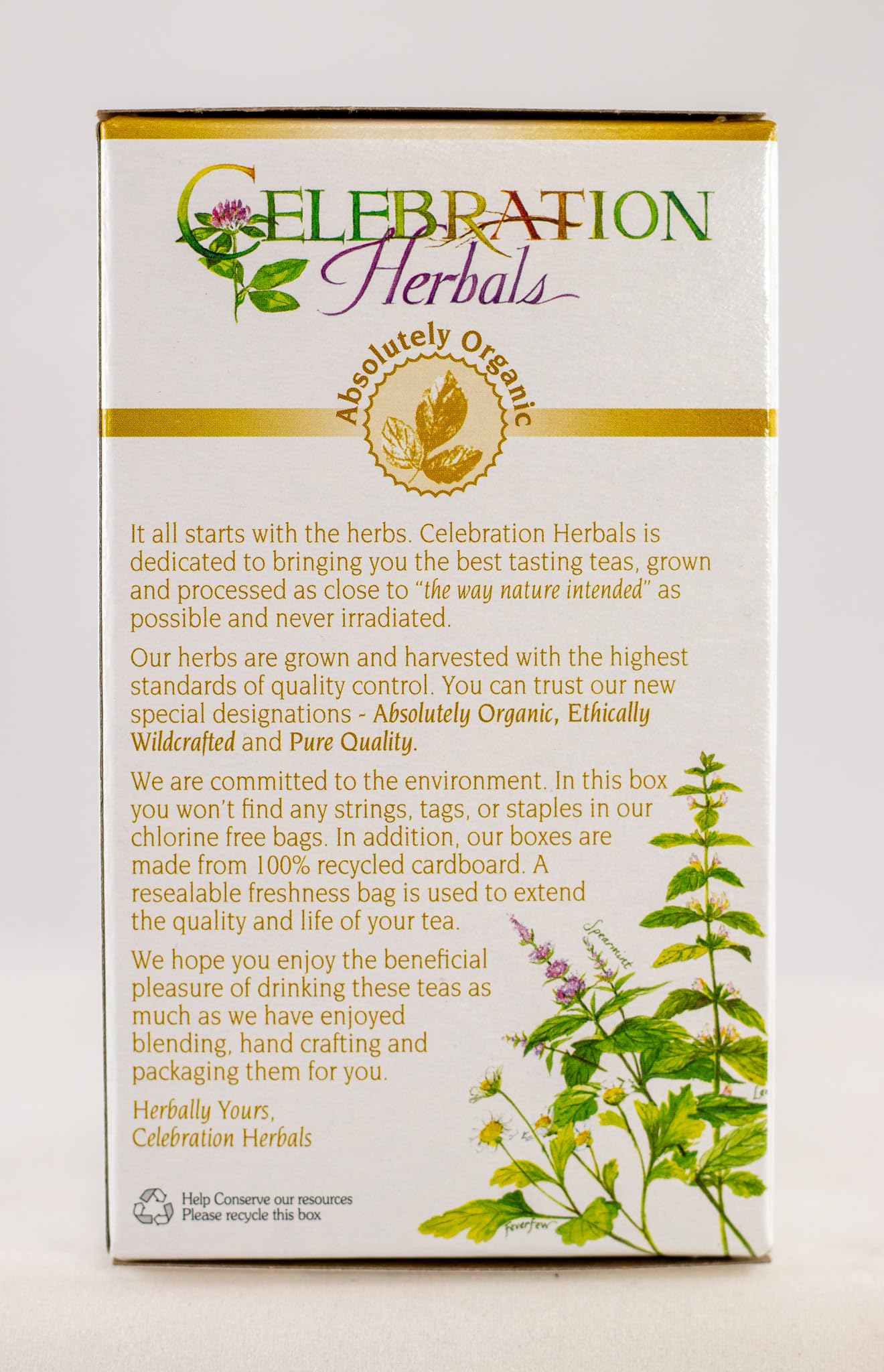 Celebration Herbals mug with milk thistle tea releasing warm aroma