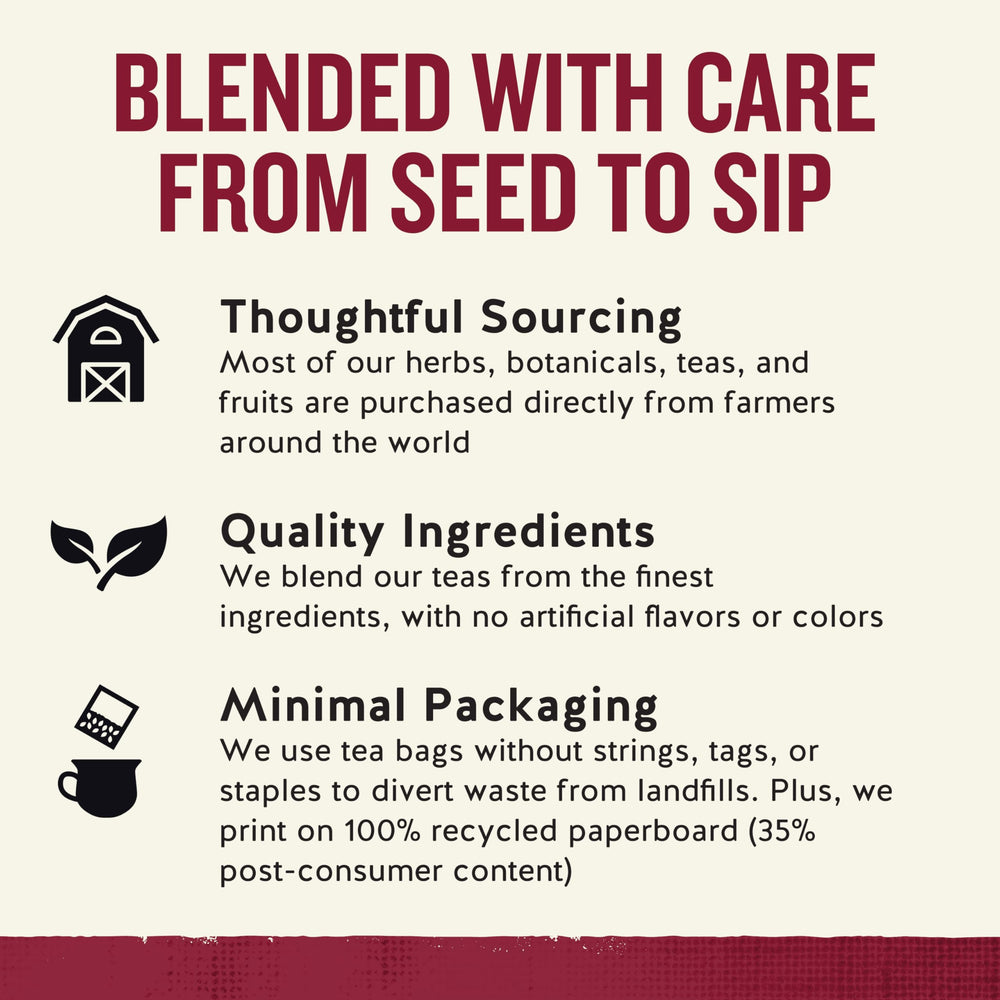 A steaming cup of Celestial Seasonings Cinnamon Apple Spice Tea.