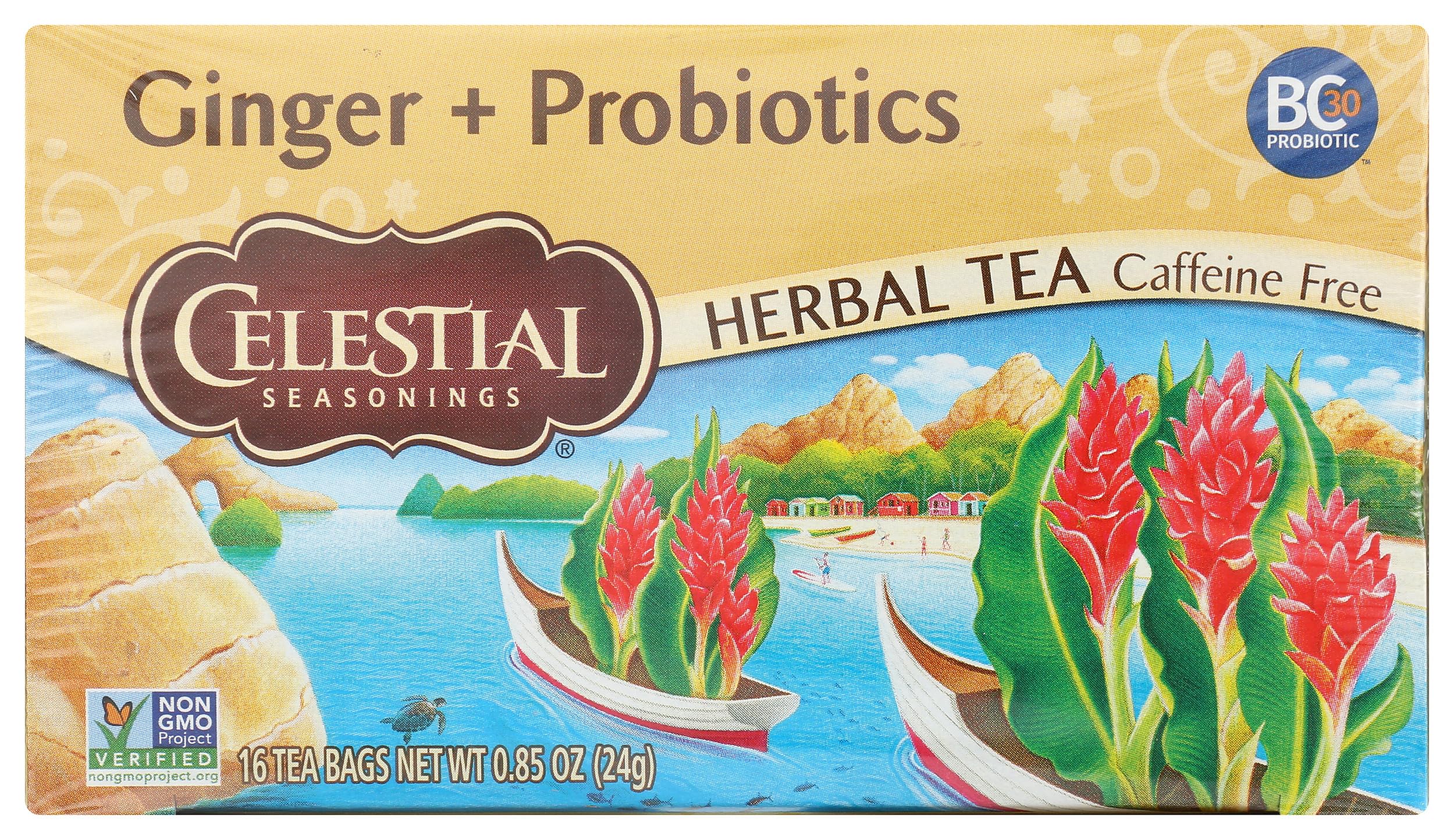 Celestial Seasonings Ginger & Probiotics Tea box ready for a cozy ritual