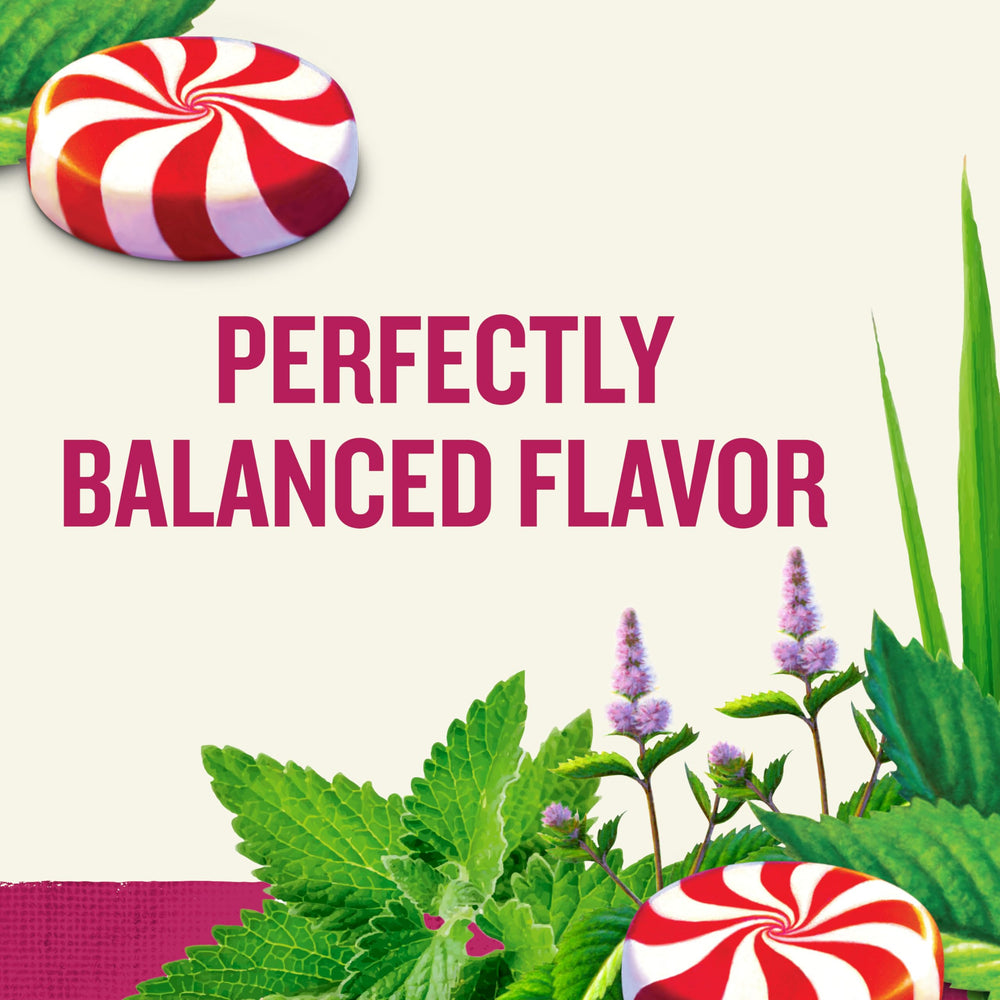 Cup of Celestial Seasonings Peppermint Tea steaming with calming aroma