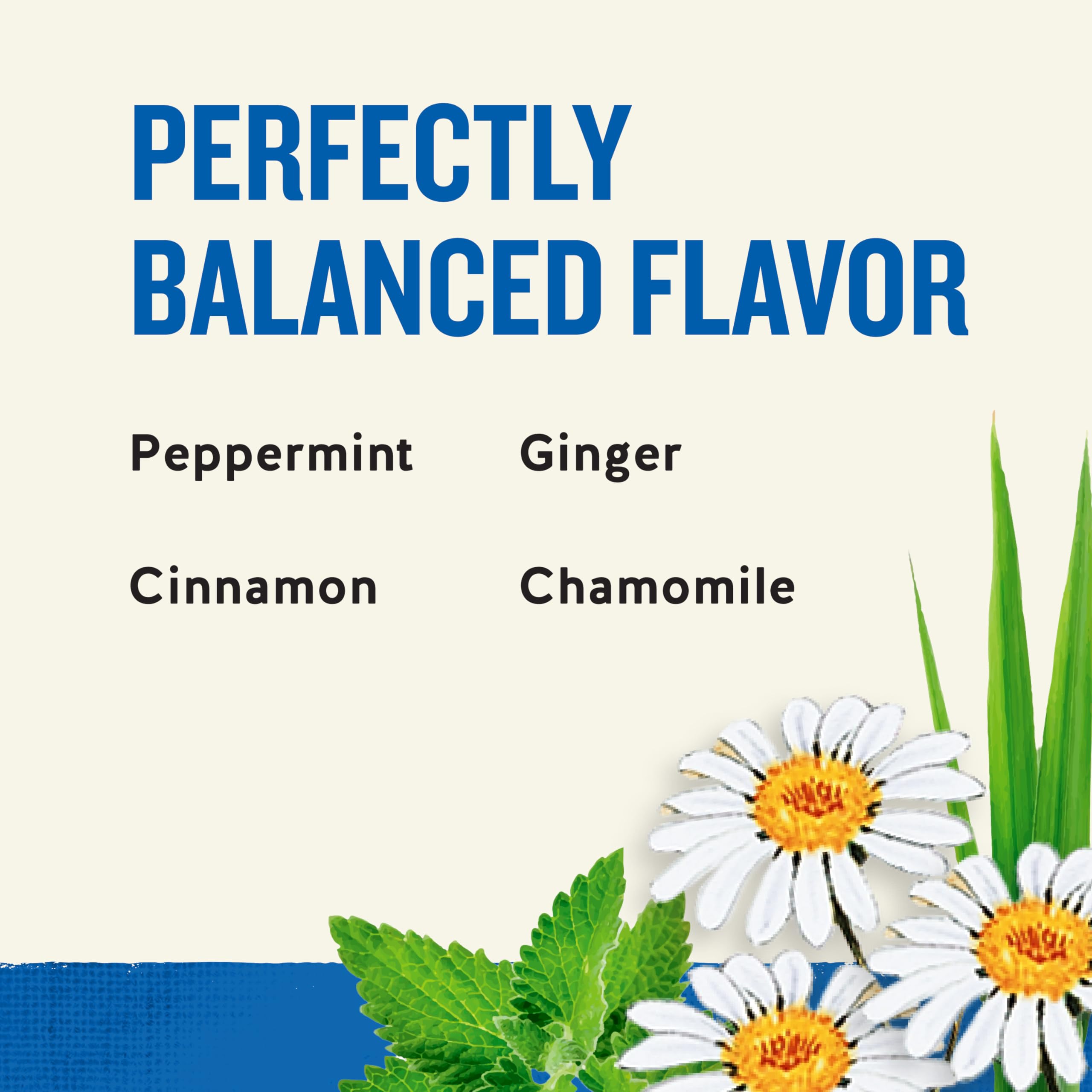 Steeping a cup with Tension Tamer releases peppermint and ginger aroma.