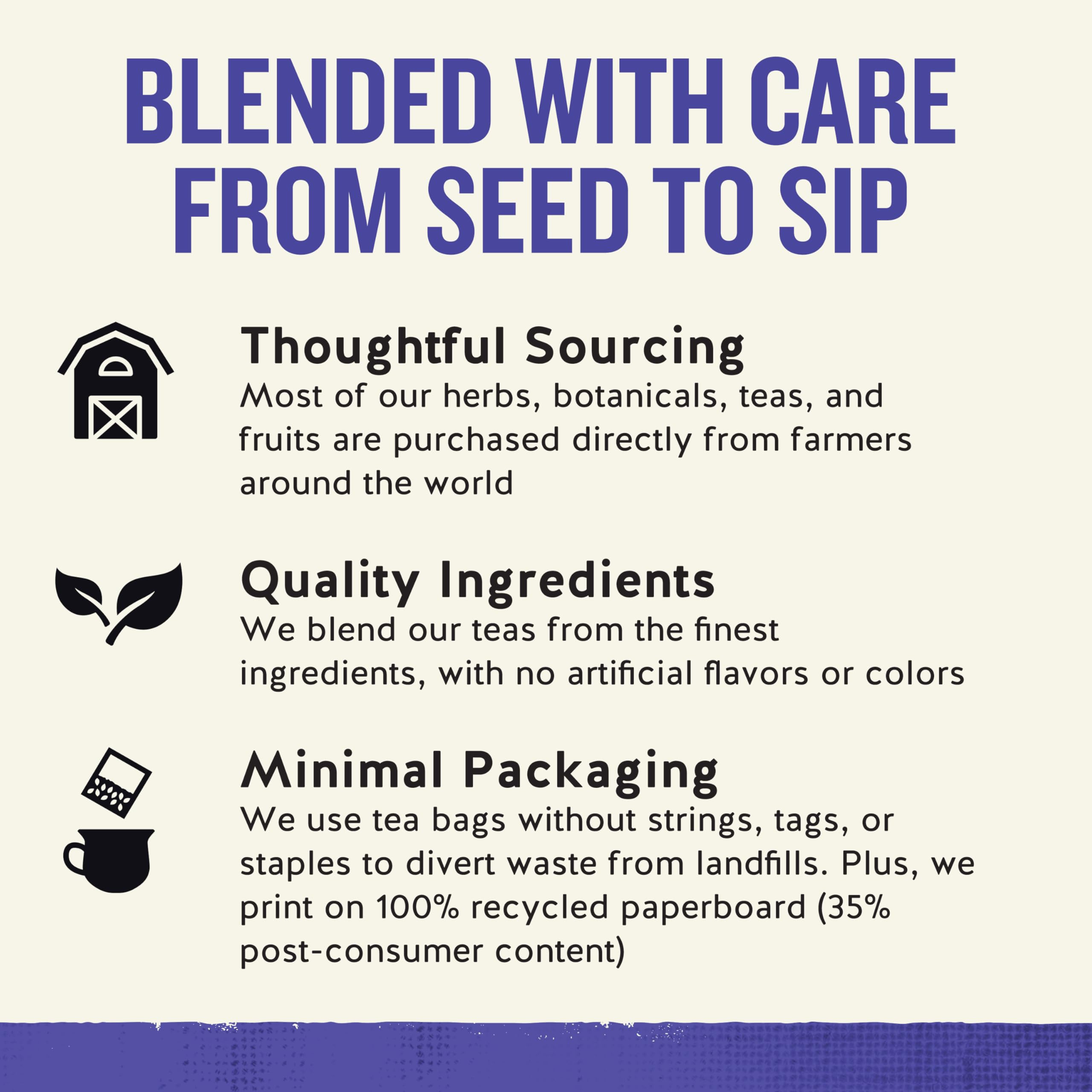 Steeping True Blueberry tea to create a fragrant hot cup.
