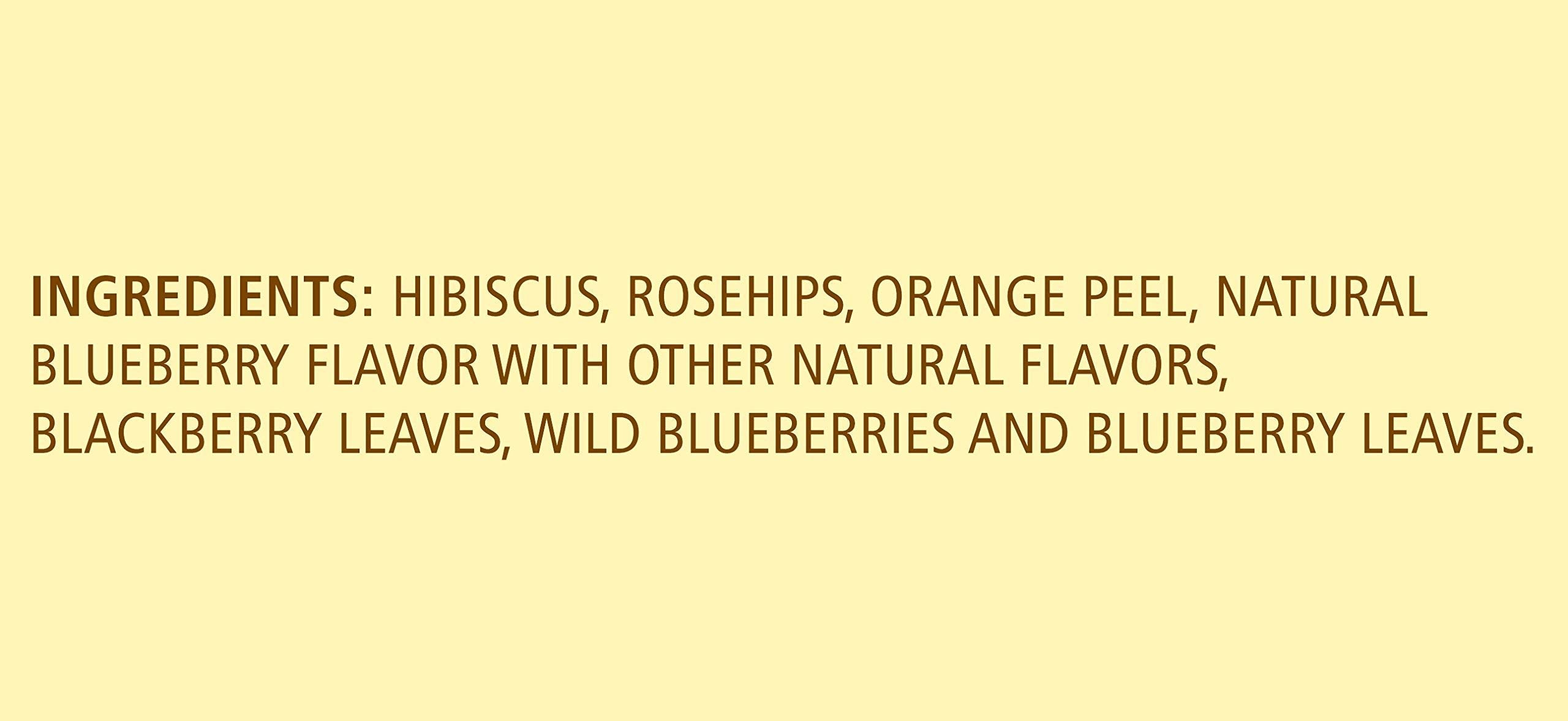 Celestial Seasonings True Blueberry Tea brewed cup, rich berry aroma
