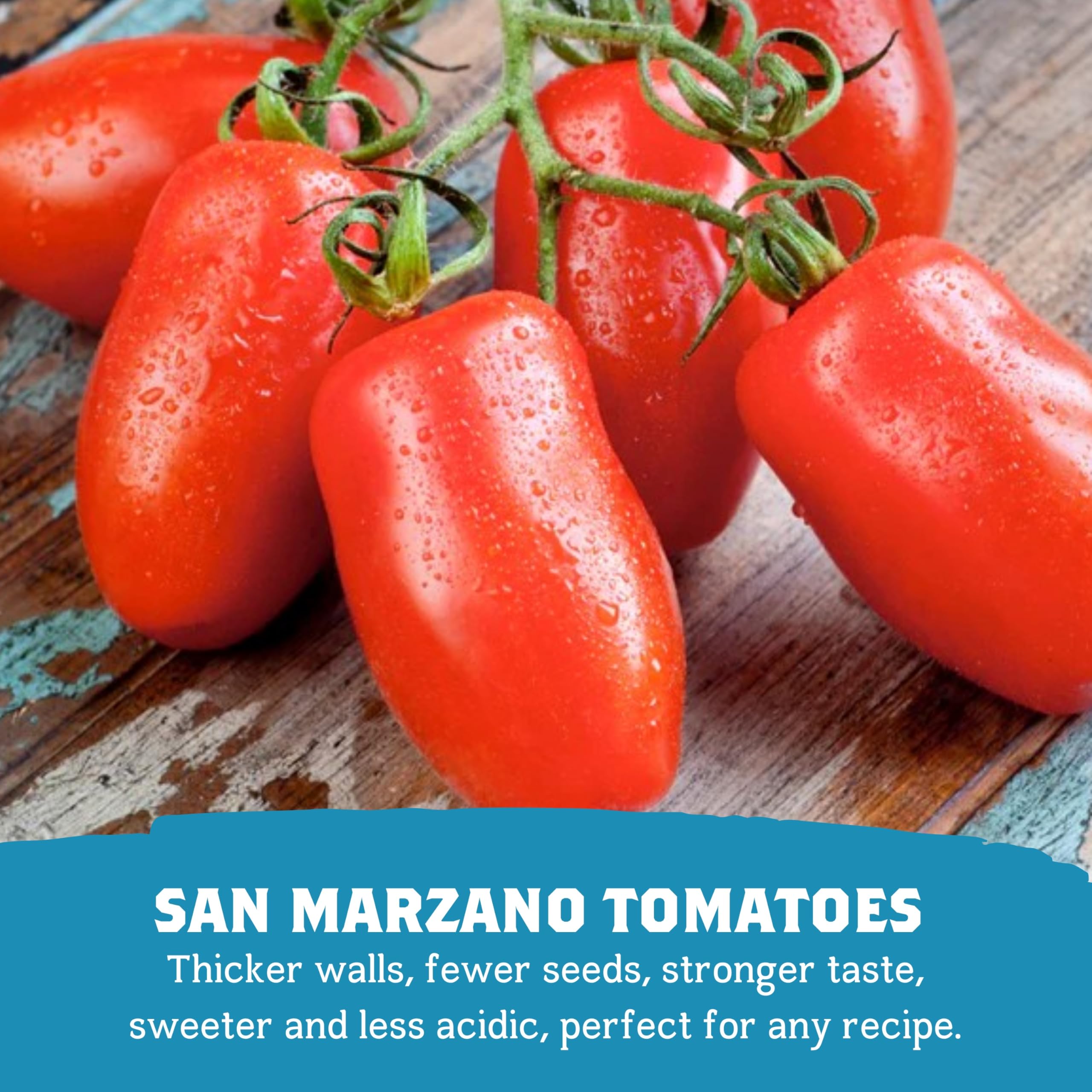 Cento San Marzano thick puree with basil, ready for simmered soups and hearty dishes