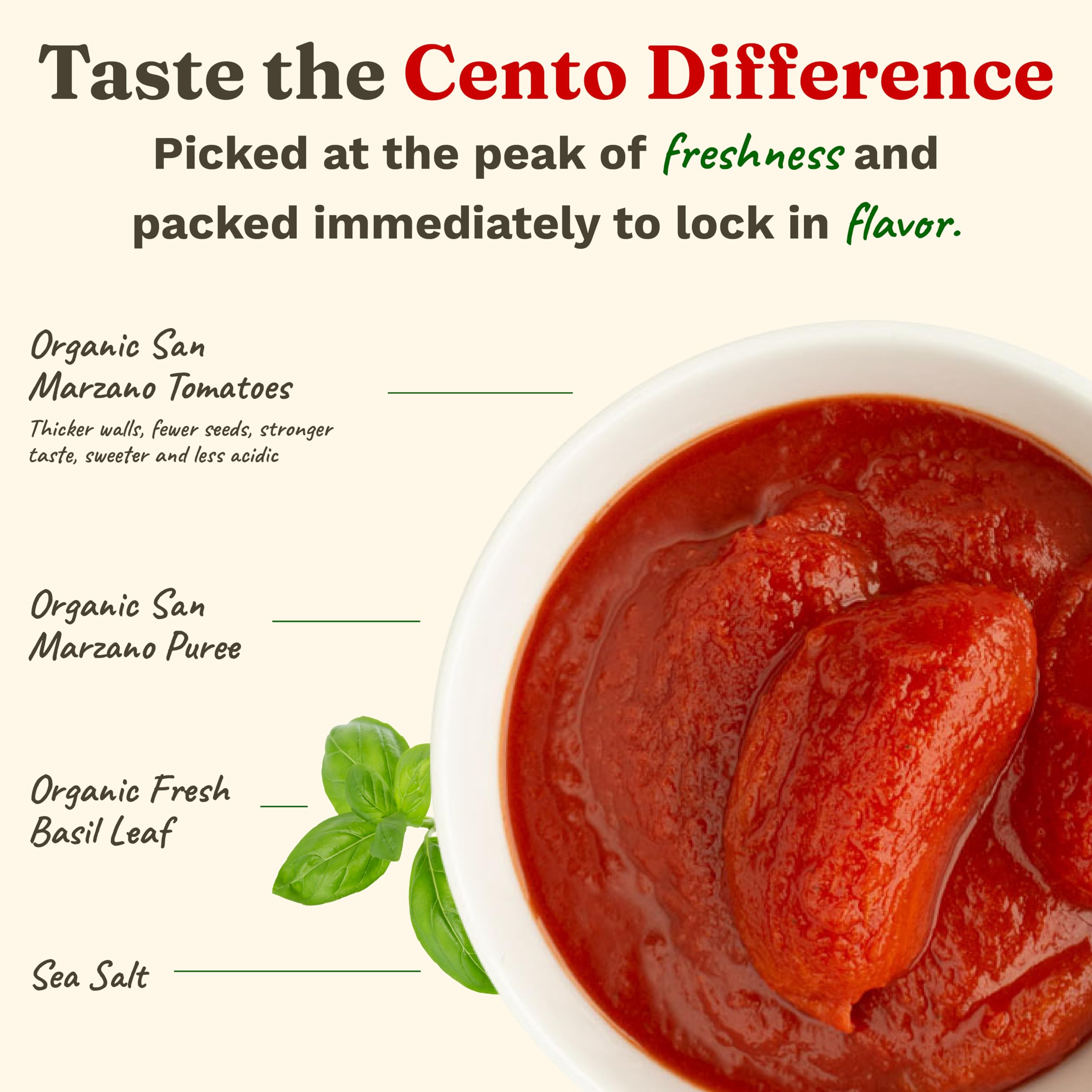 Cento San Marzano tomatoes harvested in Italian fields for authentic taste.