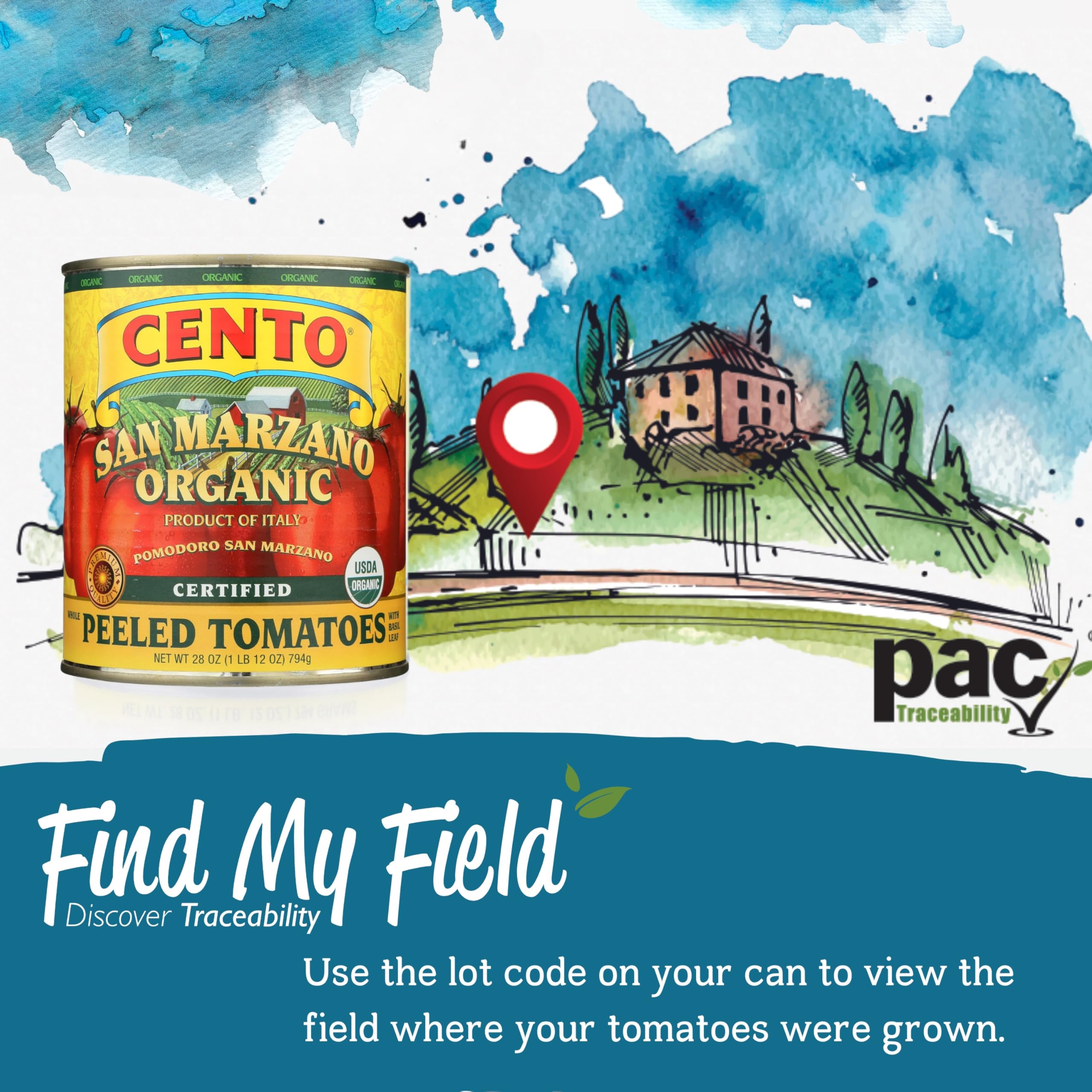 Cento San Marzano traceability field code, verify origin for quality assurance
