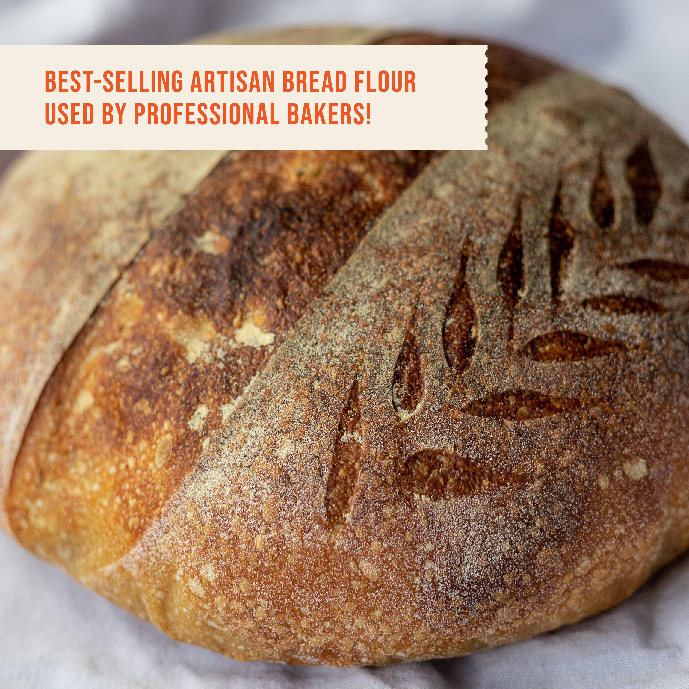 Family farms in high mountain valleys supply organic wheat for CENTRAL MILLING