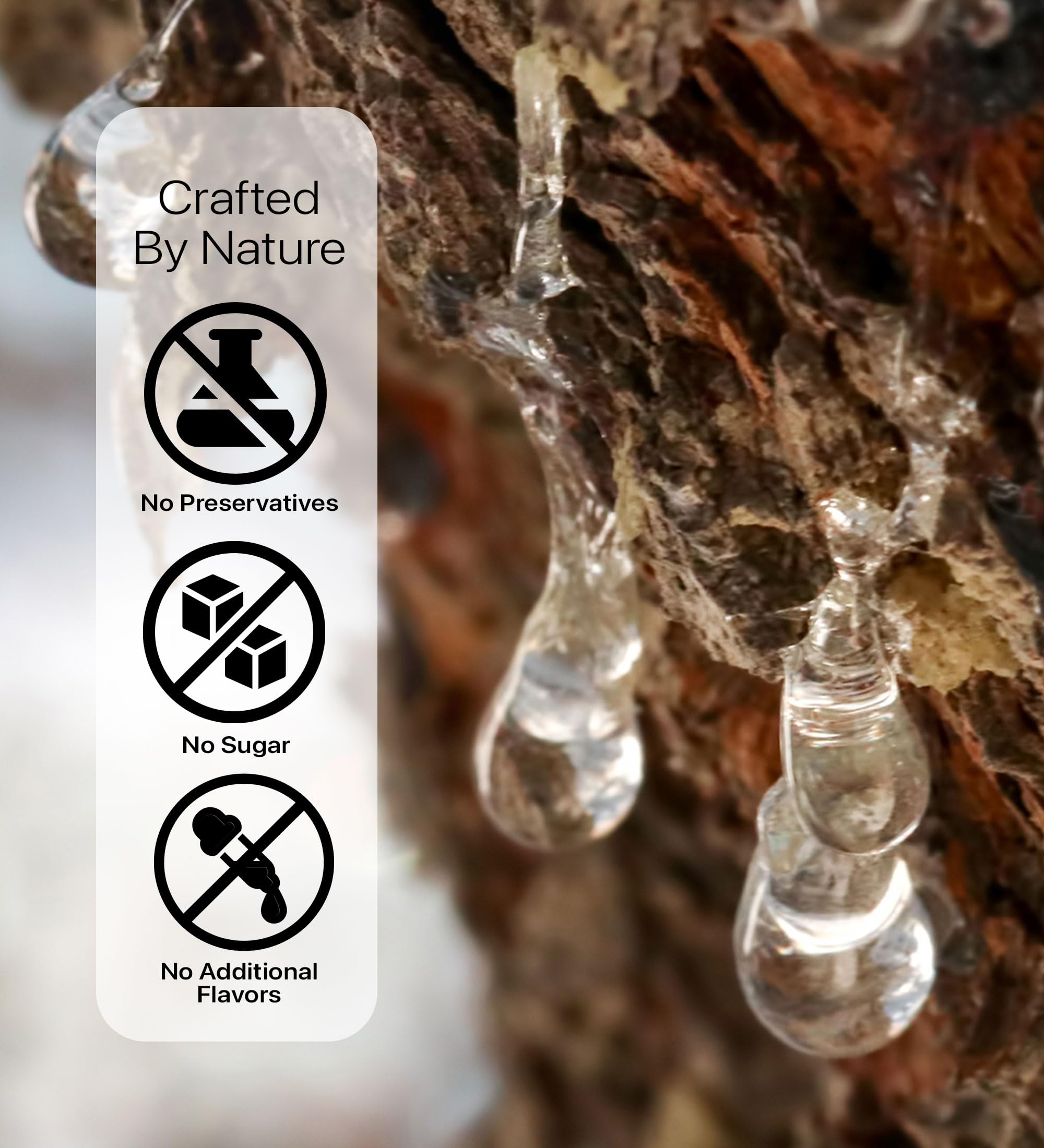 Çerez Pazarı mastic gum in a clear bag emphasizes traditional craftsmanship