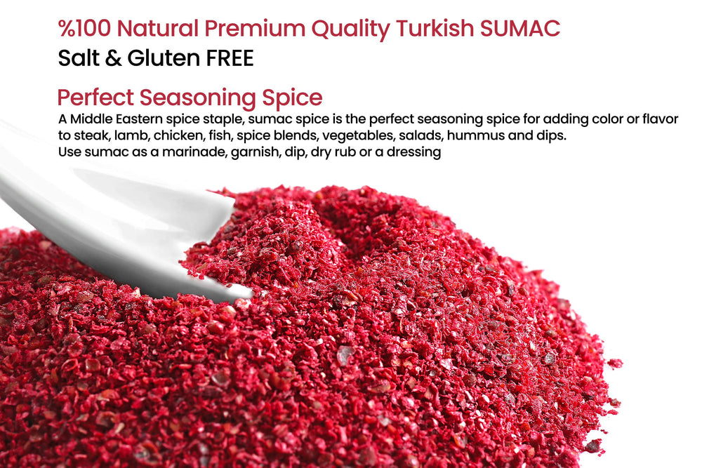 Çerez Pazarı sumac powder on hummus closeup with bright citrus note.