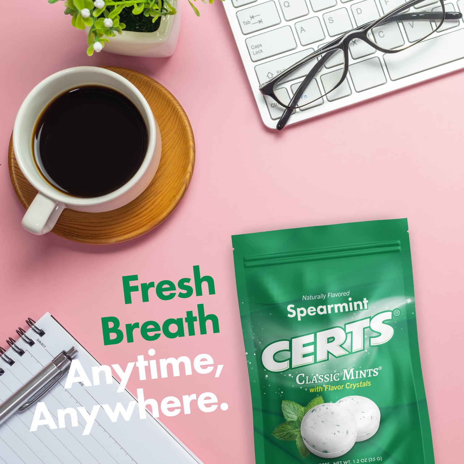 Certs spearmint single mint ready for daily use