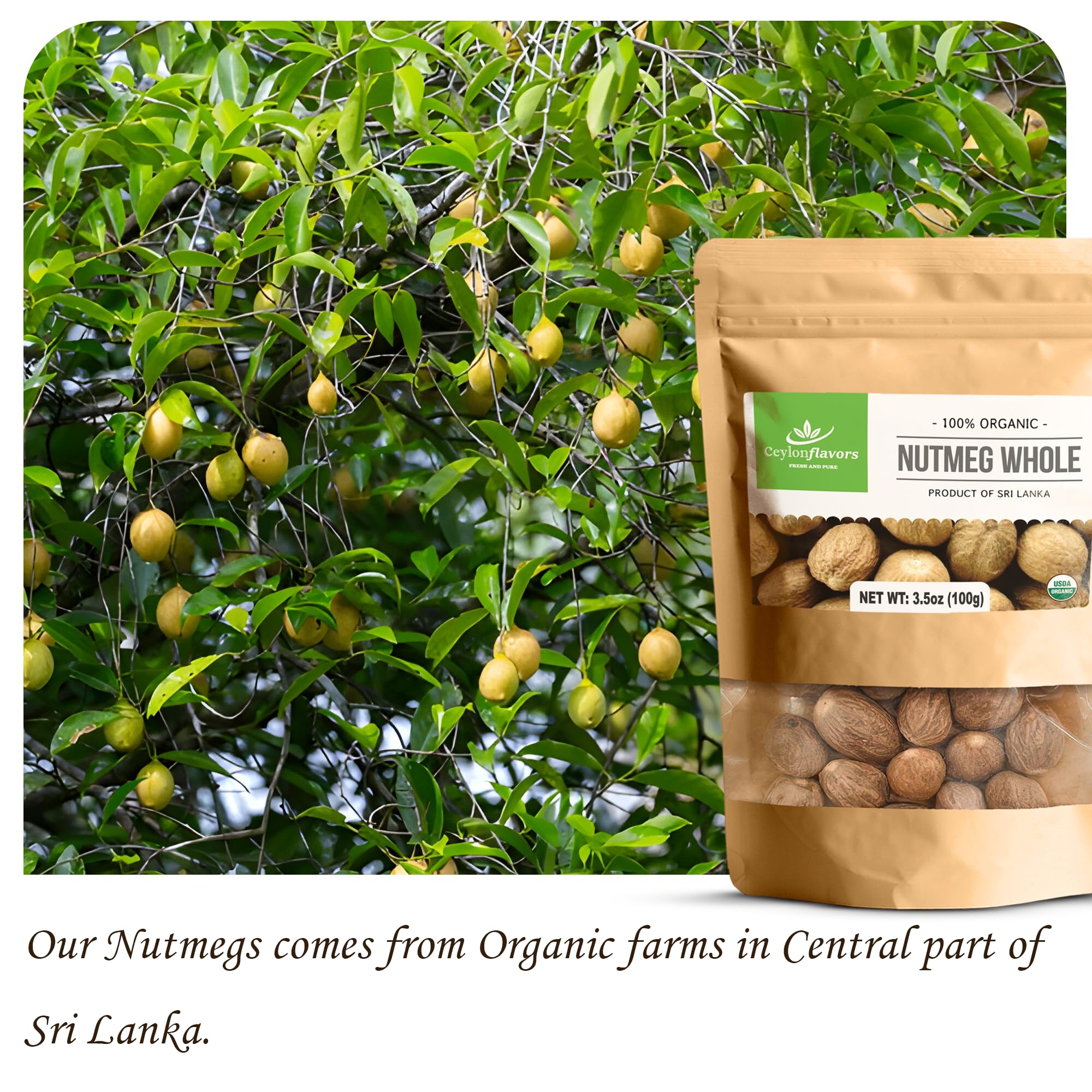 CEYLONFLAVORS Sri Lanka organic nutmeg from a certified farm