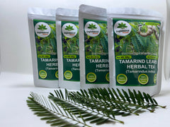 Warm cup of Ceylonwood Tamarind Leaves Tea with earthy flavor and soothing aroma