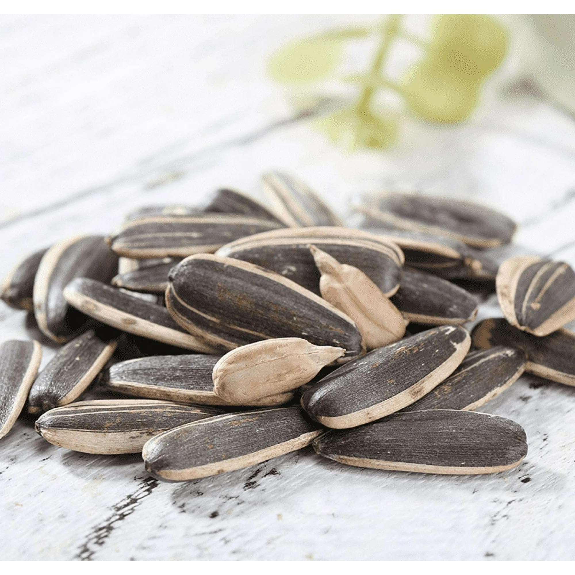 ChaCha spiced roasted sunflower seeds served in bowl invites salads topping.
