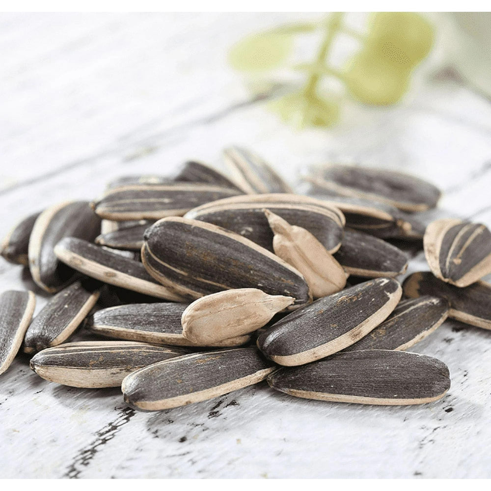 ChaCha spiced roasted sunflower seeds served in bowl invites salads topping.