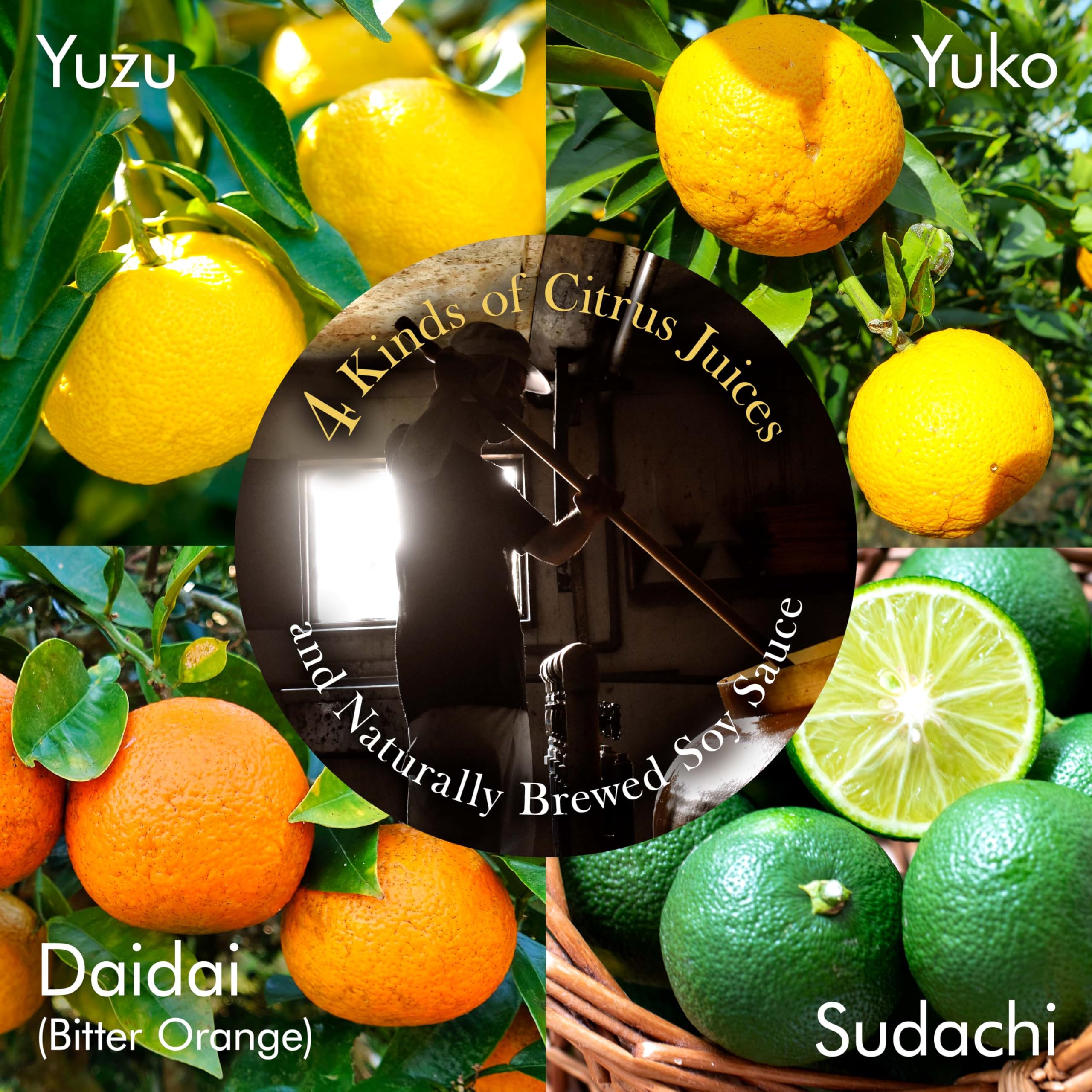 Chaganju Ponzu dressing over greens adds bright citrus notes.