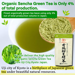 Close-up of Chaganju YAMASAN instant sencha powder texture for quick brew