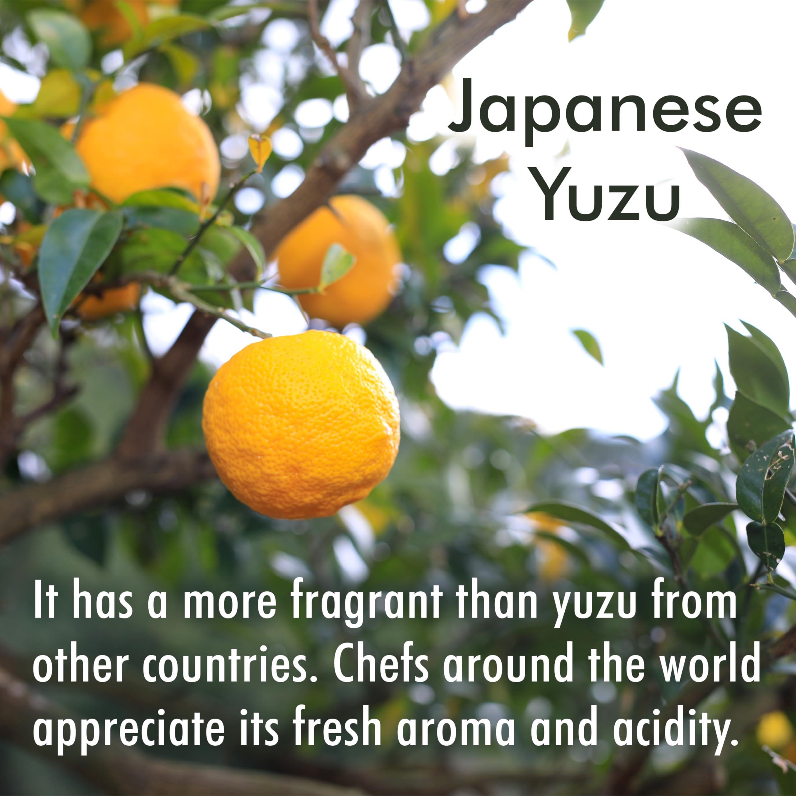Chaganju Yuzu juice is versatile for cooking and cocktails, from sauces to tea and soda.
