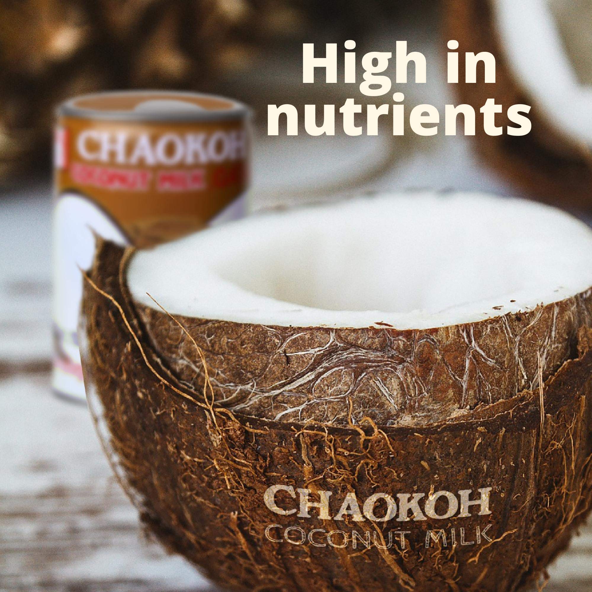 Chaokoh Coconut Milk Unsweetened curry dish scene, rich flavor base for dishes