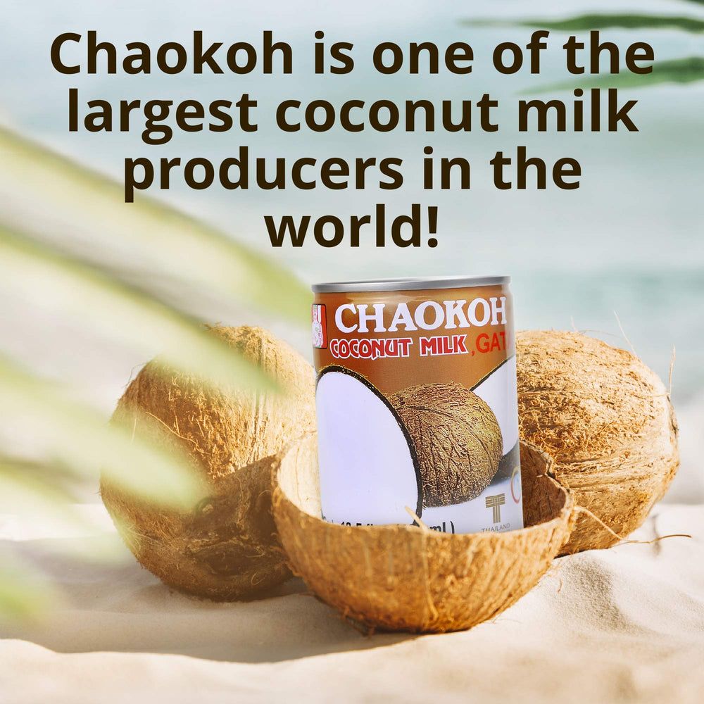 Chaokoh Coconut Milk Unsweetened vegan dairy-free option for plant-based cooks