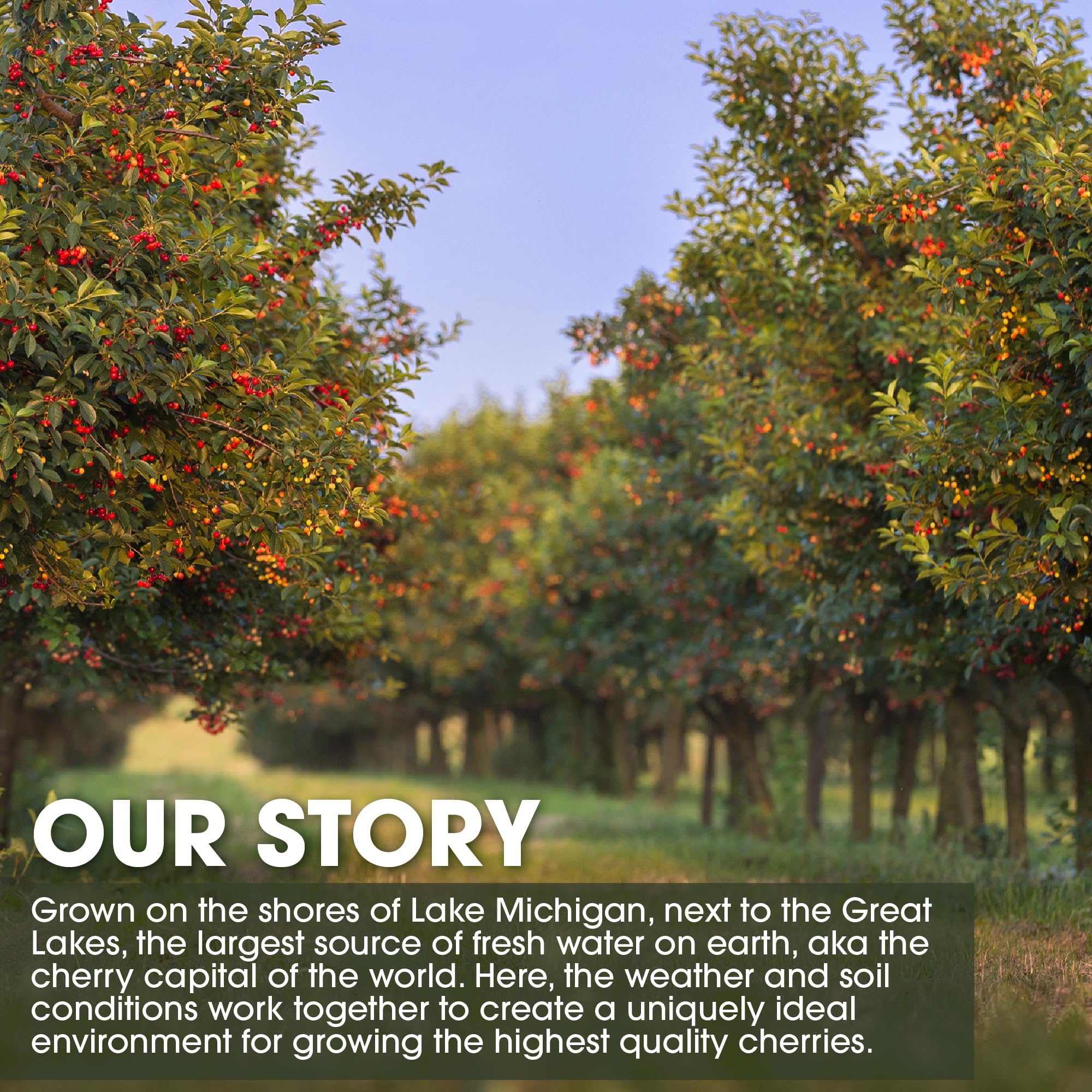 Serving suggestion with Cherry Bay Orchards concentrate in a glass for a refreshing drink