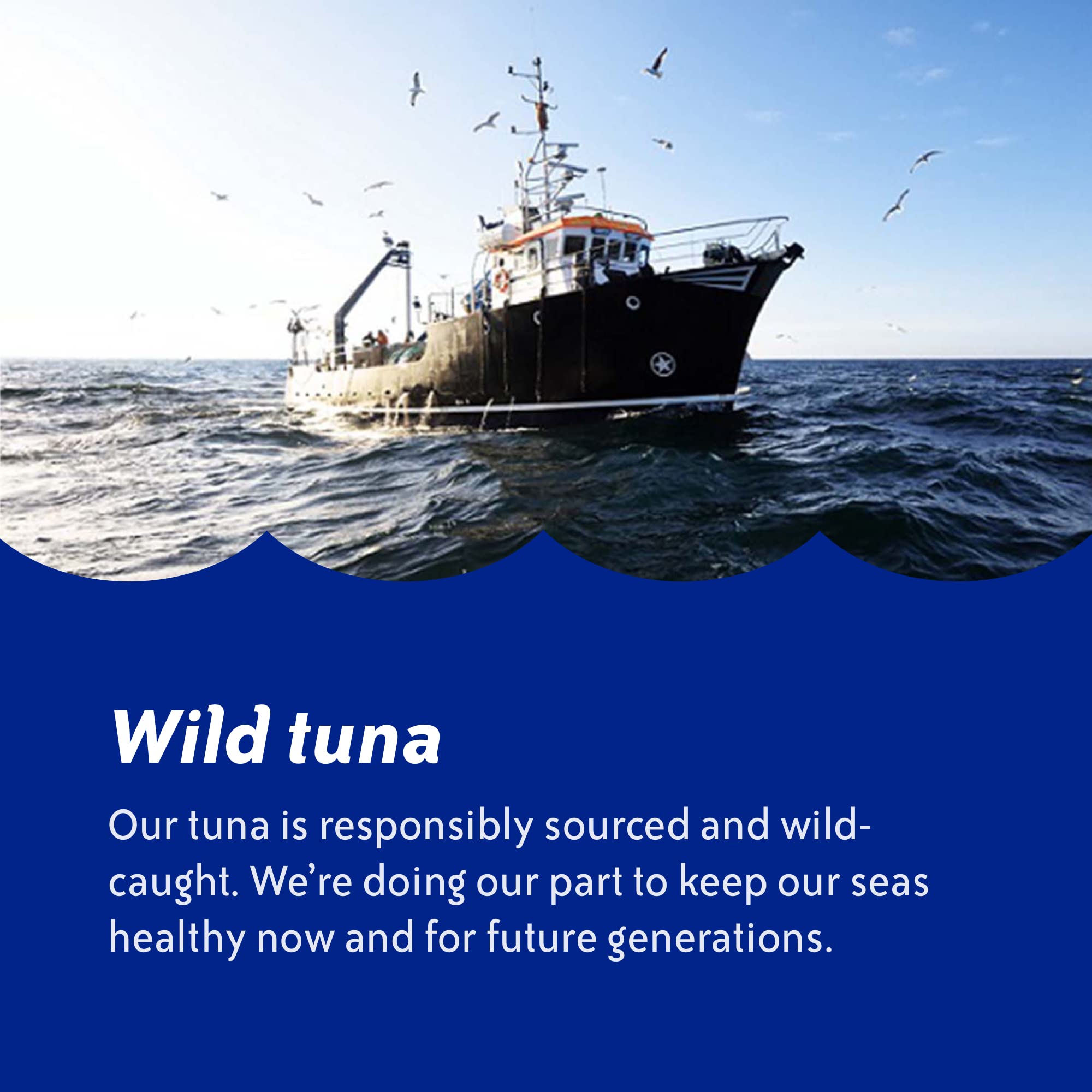 Chicken of the Sea 12-pack tuna pouches for stocking up.