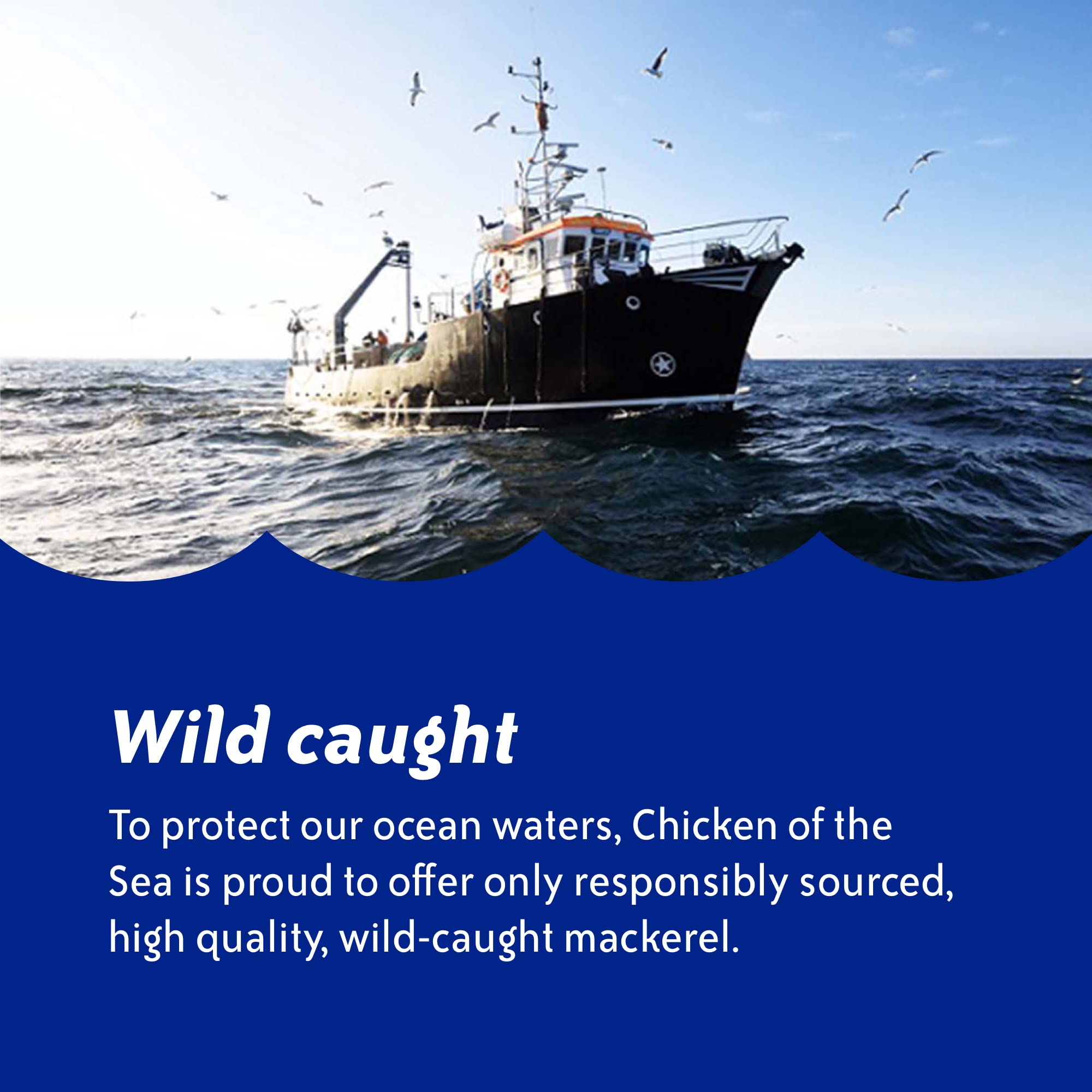 Wild-caught sourcing badge on Chicken of the Sea Mackerel signals sustainable choice.