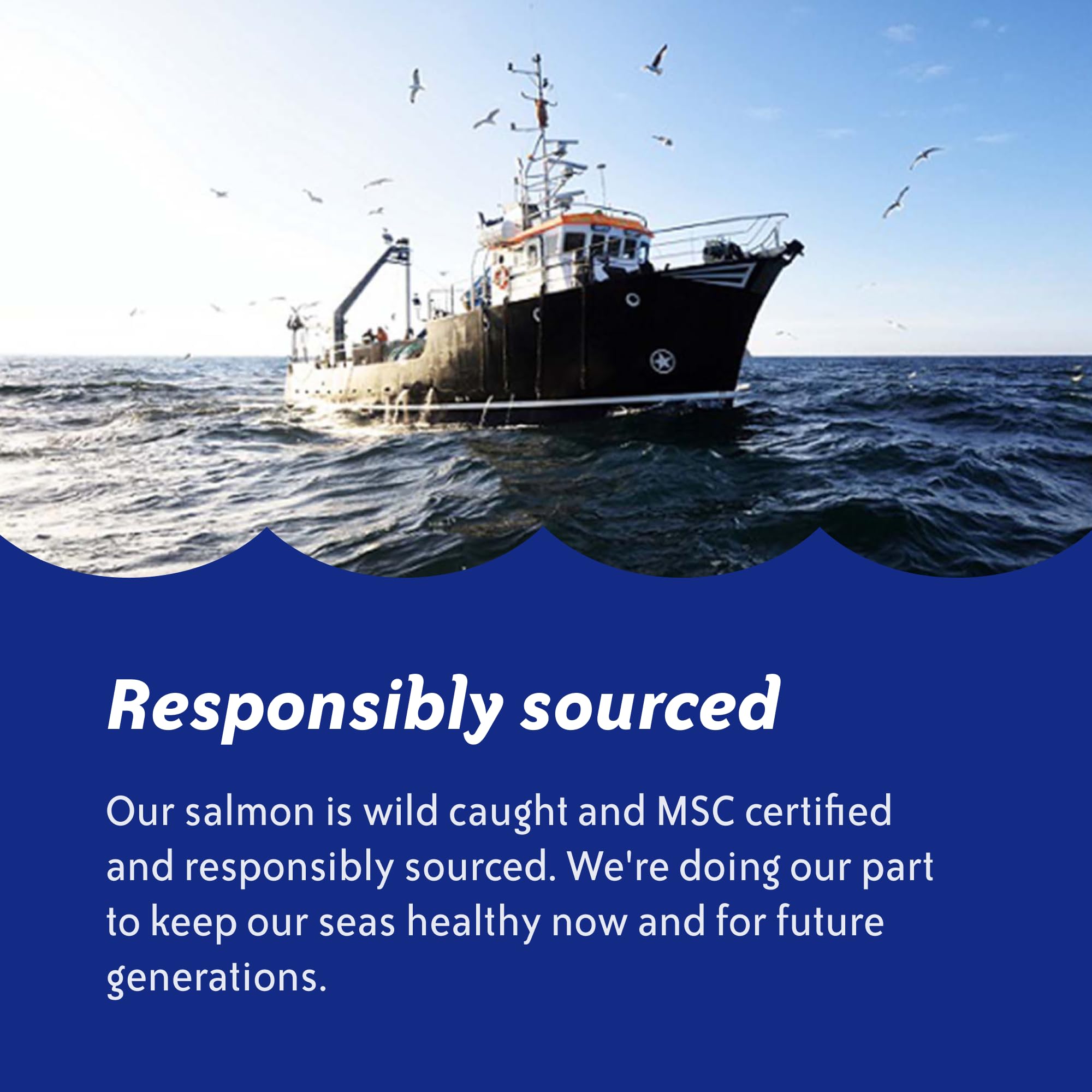 SeaChange sustainability plan supports ocean health and responsible sourcing.
