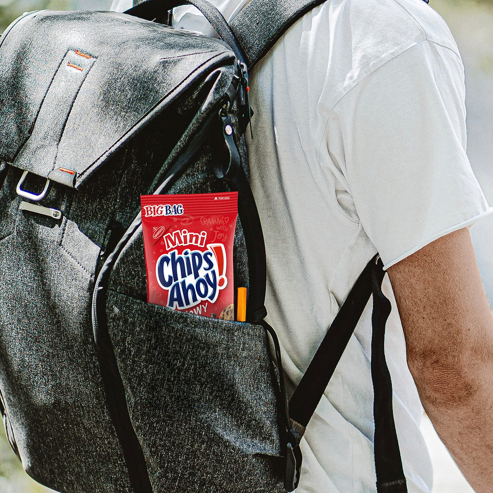 Chips Ahoy! Mini Chewy Cookies on-the-go snack for work or school
