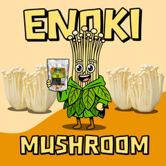Chiramen Enoki dried mushrooms close-up showing delicate caps