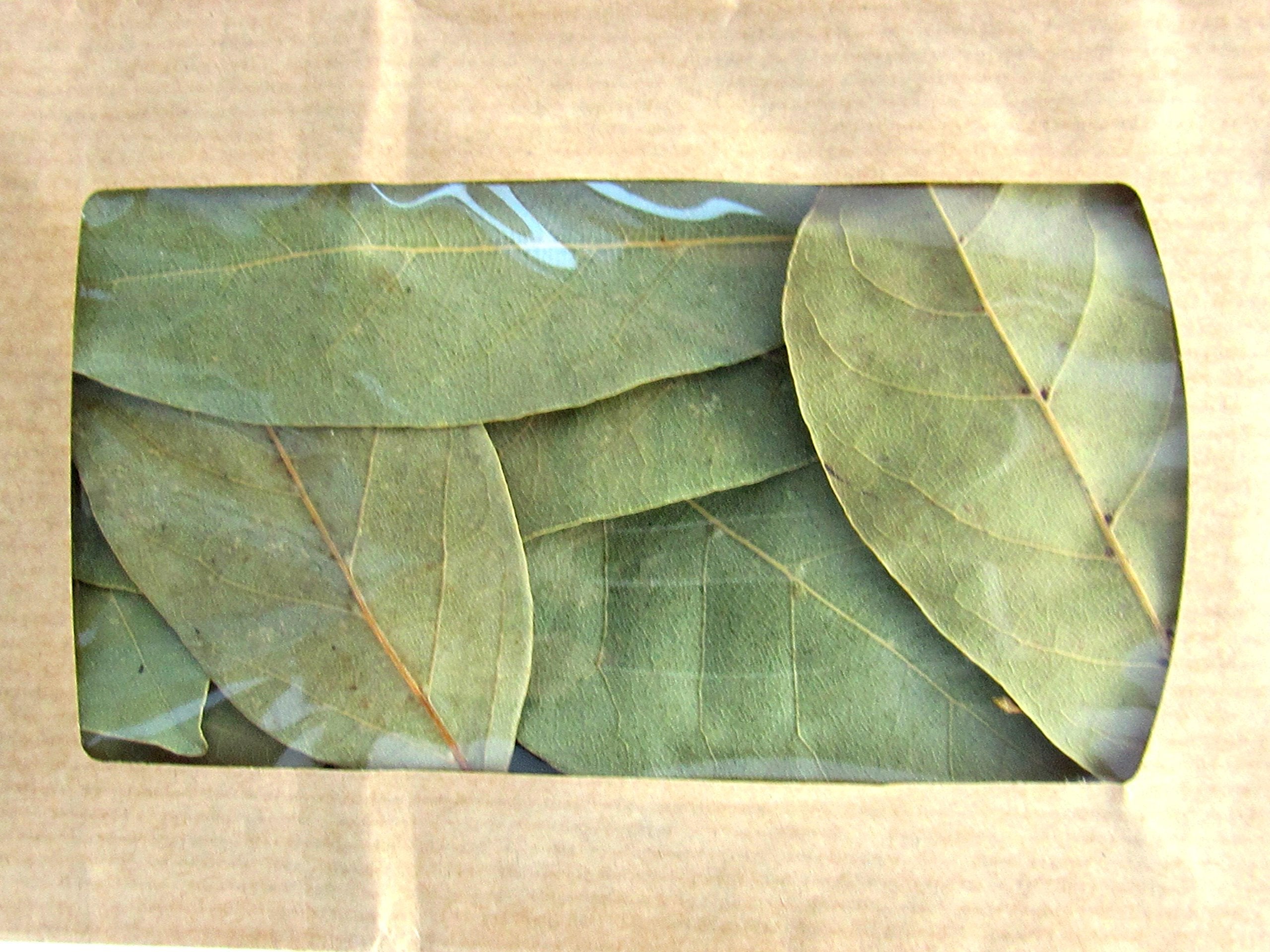 Chiron Kentavros Pelion bay laurel leaves enhance sauces, soups, and roasted vegetables.