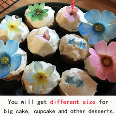 CHOCKACAKE edible flowers toppers small size for delicate dessert accents
