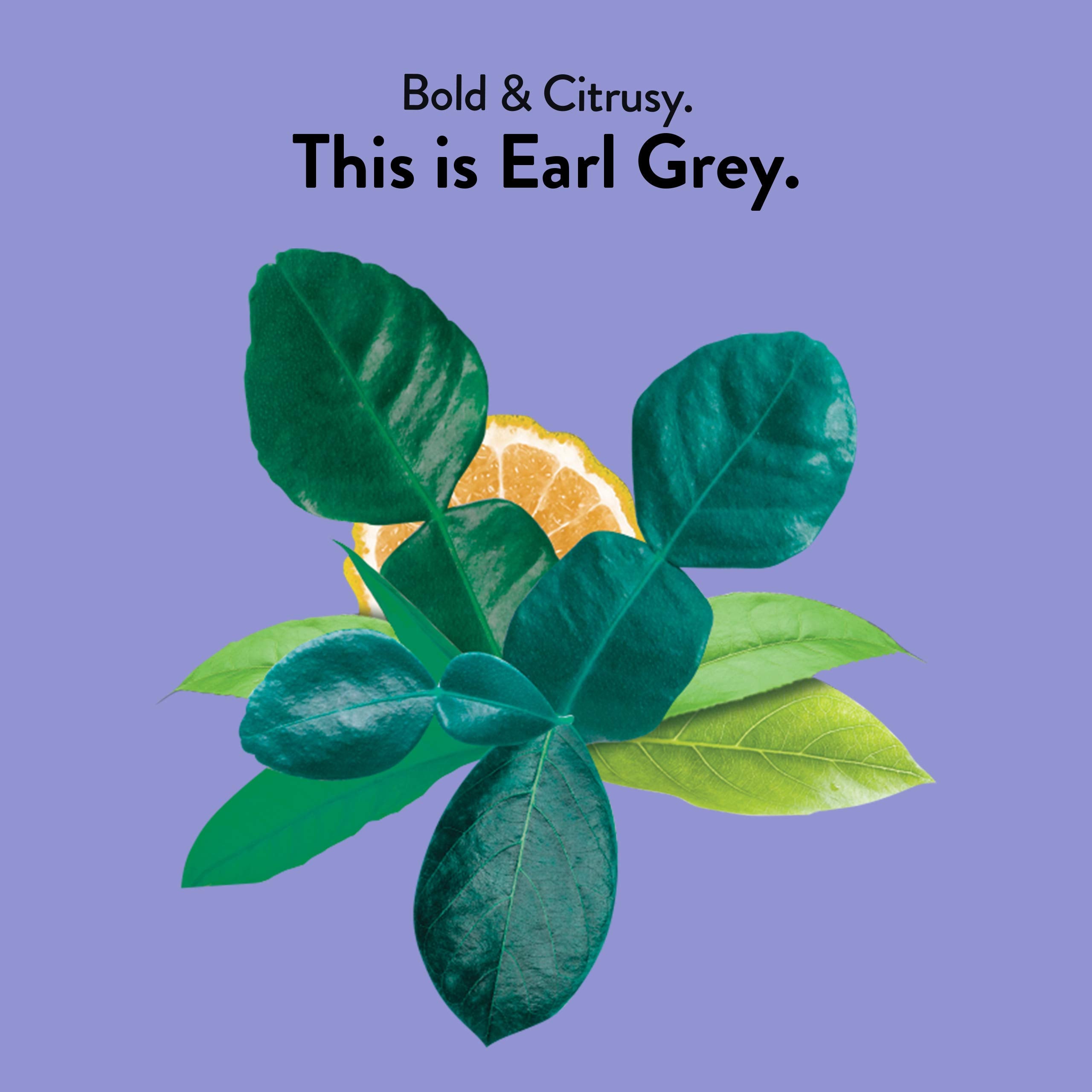 Choice Organic Teas Earl Grey bergamot aroma highlights citrusy notes for afternoon tea.