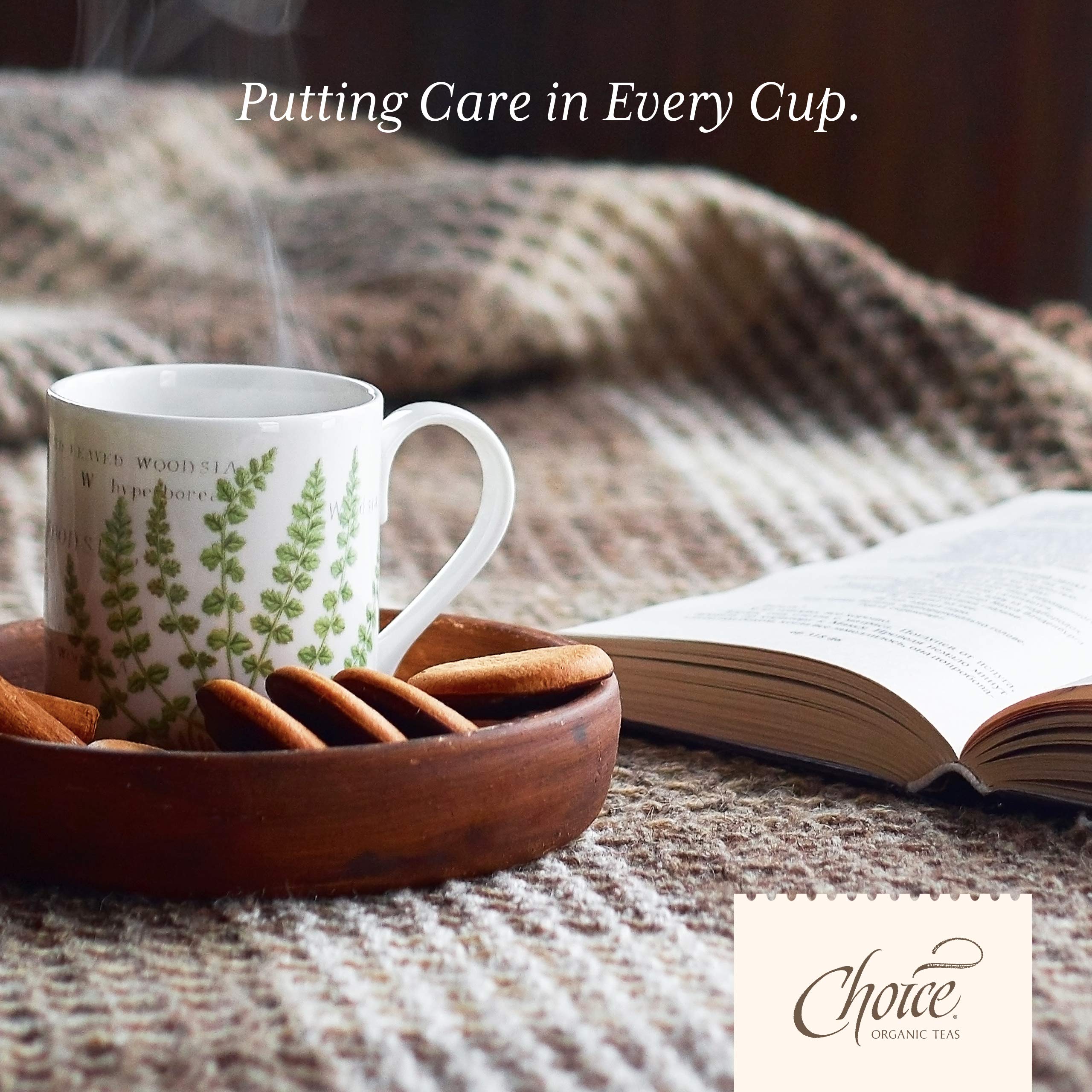 Choice Organic Teas collection display communicates sustainable tea variety