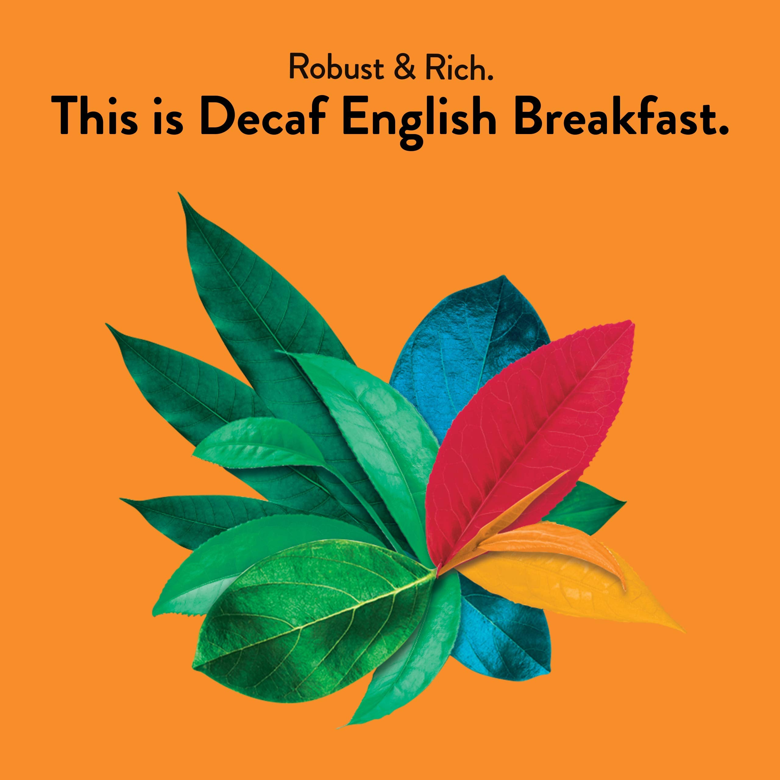 Choice Organic Teas decaffeinated English Breakfast tea bags close-up highlighting low caffeine.