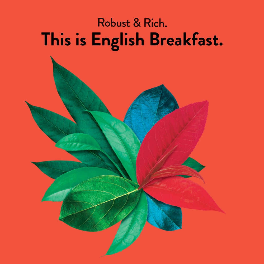 Choice Organic Teas English Breakfast tea bags—rich malty flavor for robust cups.