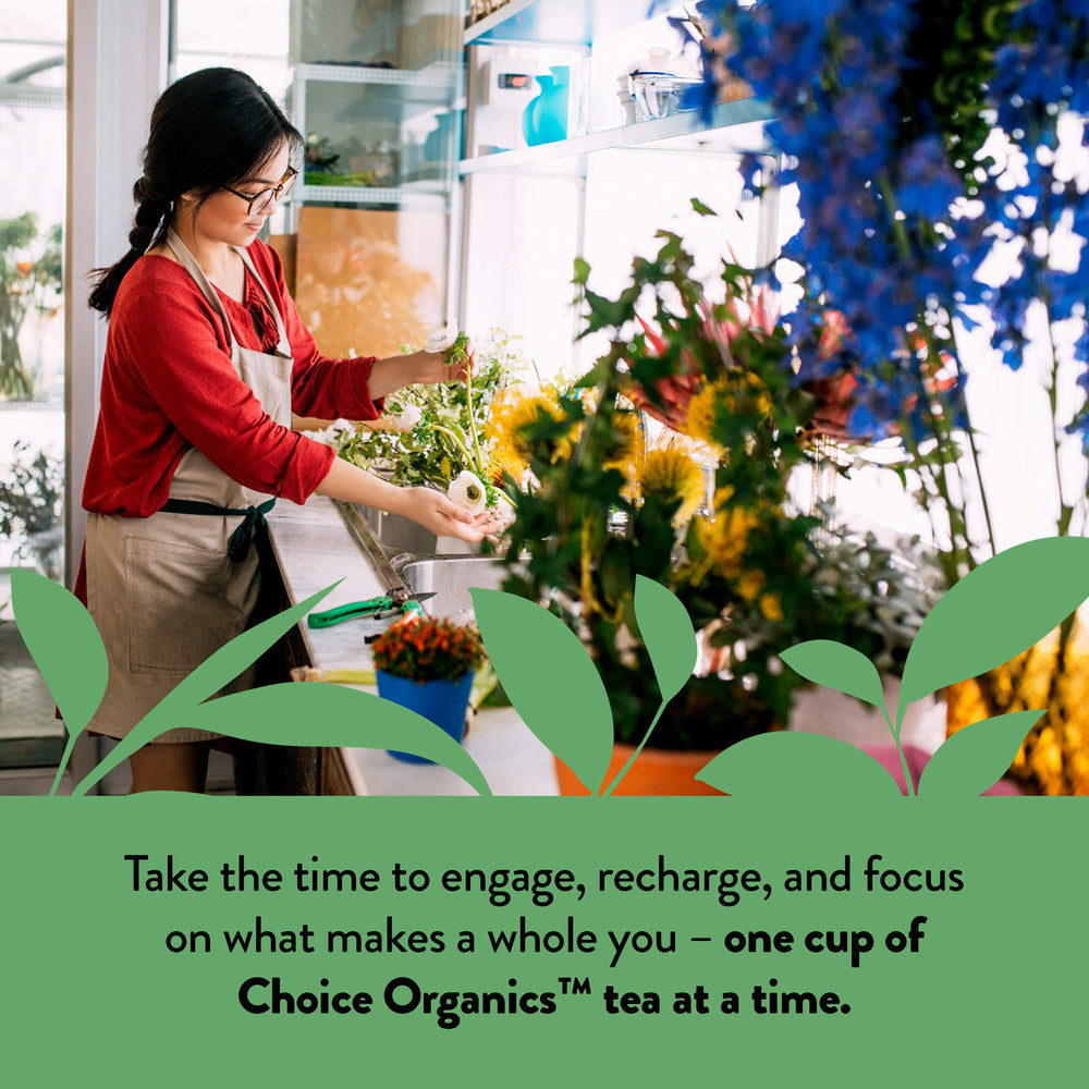 Choice Organic Teas Japanese Green Tea aroma and steam rising from cup