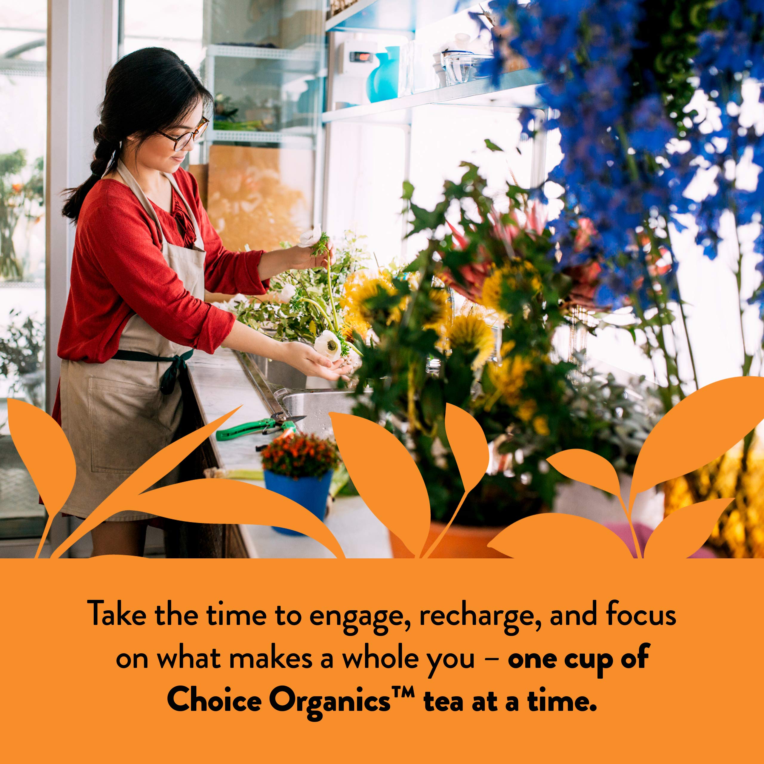 LEED certified facility logo for Choice Organic Teas production